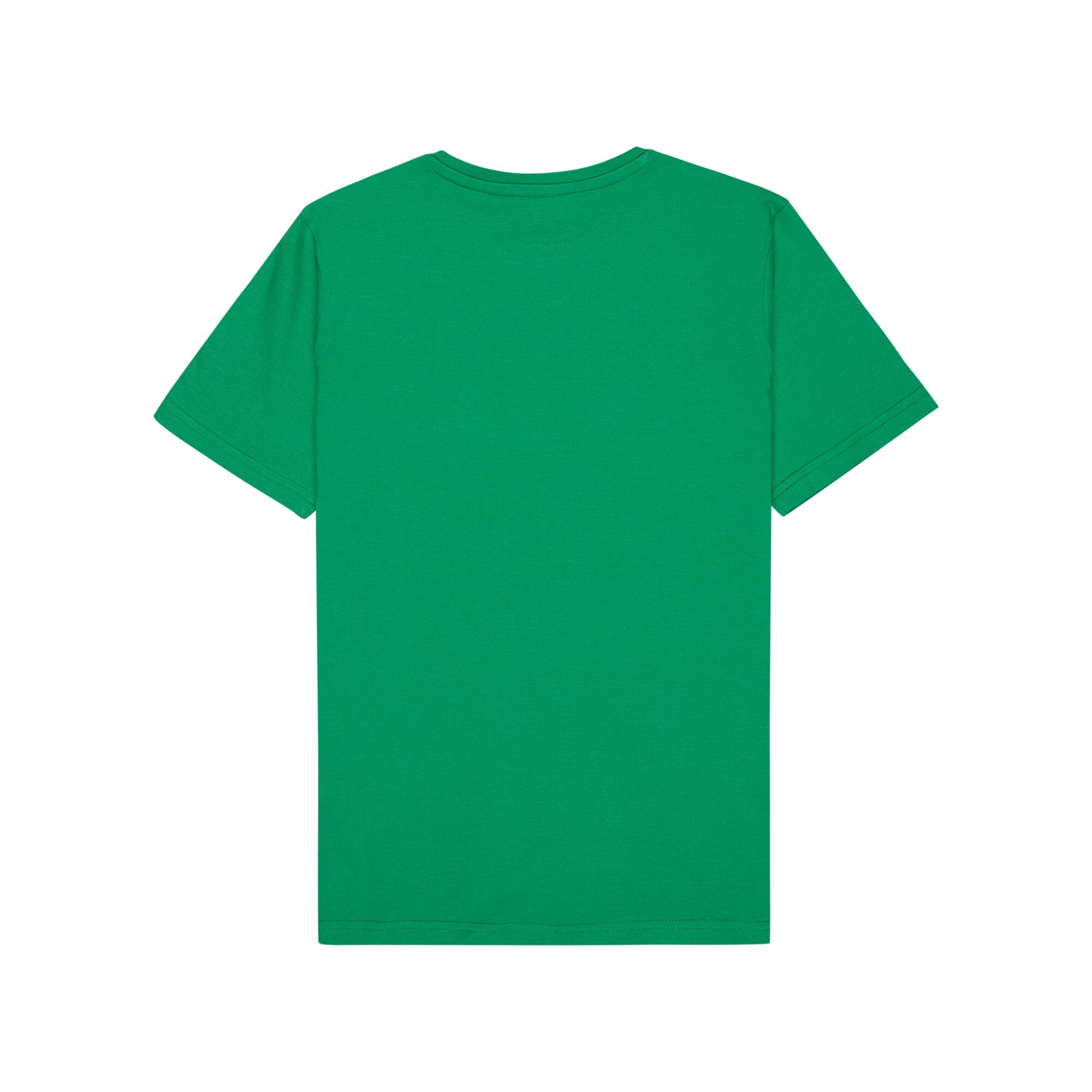 Camiseta de niños Ev Corpo Classic Quiksilver - Verde Verde-2