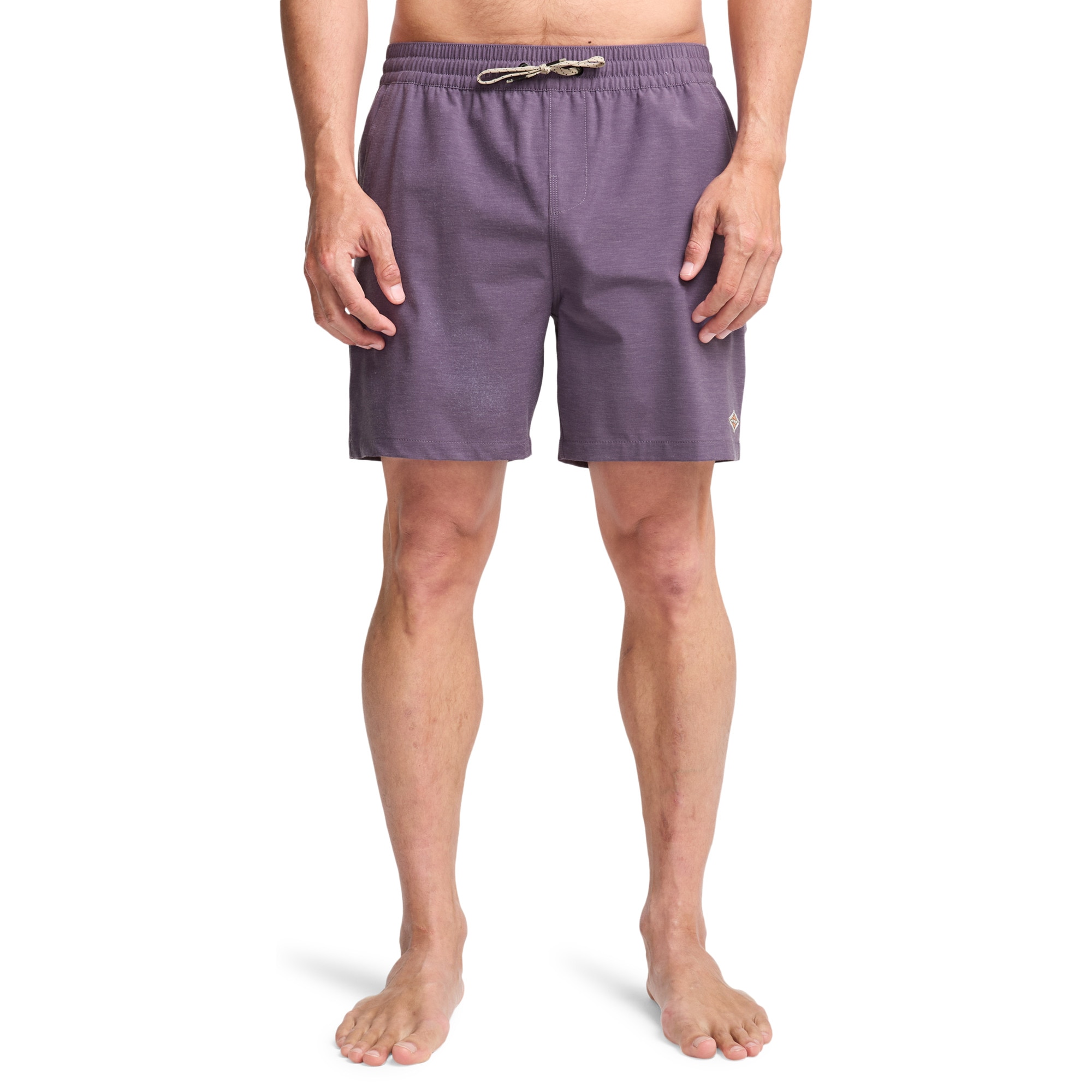 Imagen 1 de Bañador de hombre Every Other Day Billabong - Morado Morado
