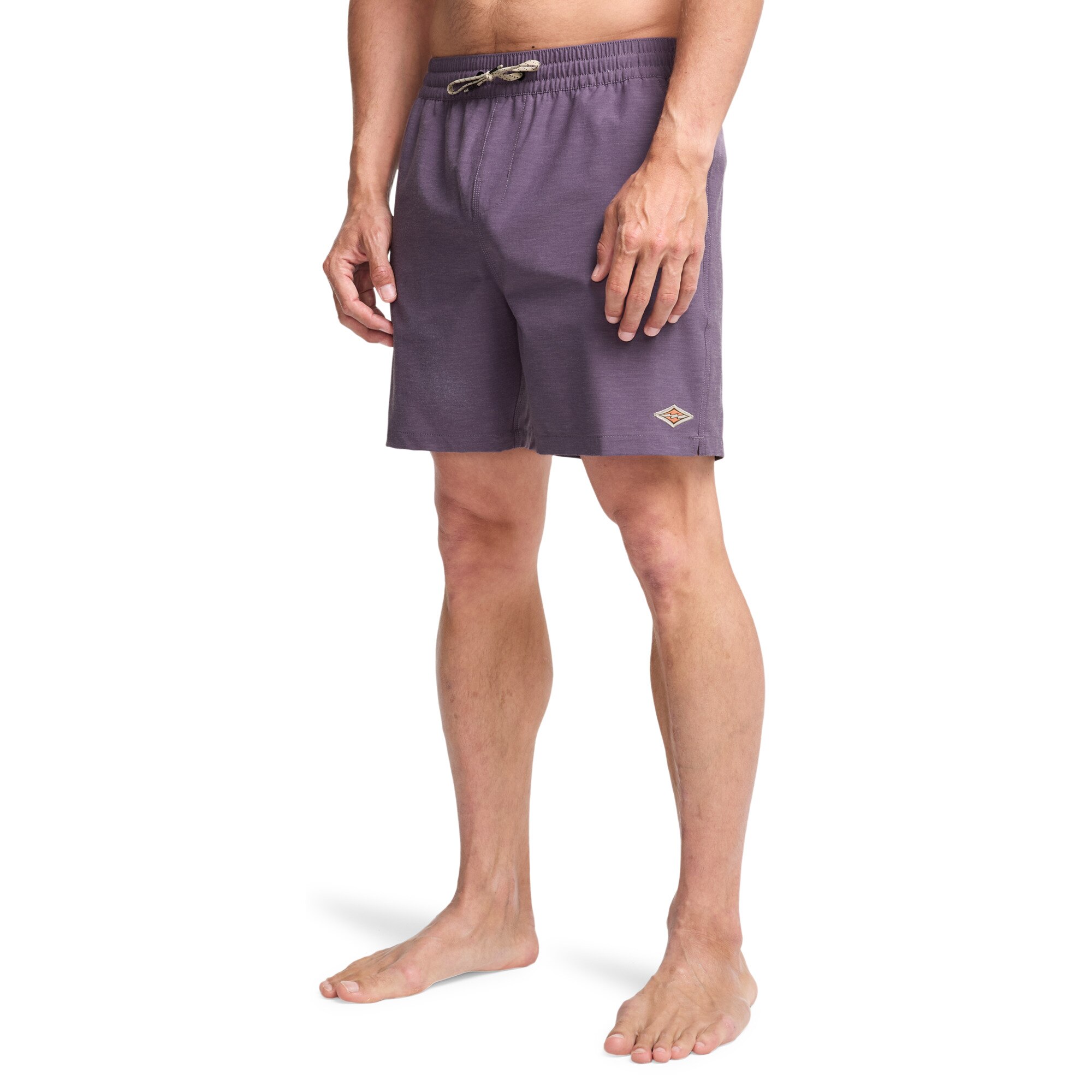 Imagen 4 de Bañador de hombre Every Other Day Billabong - Morado Morado
