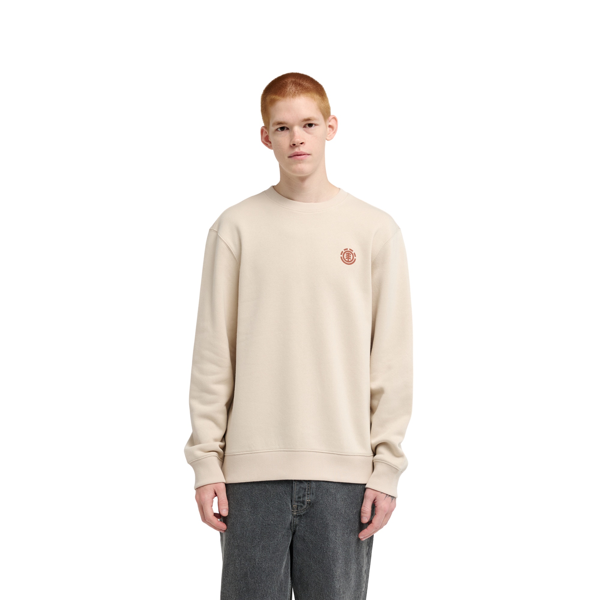 Imagen 1 de Sudadera de hombre Explore Element - Natural Natural