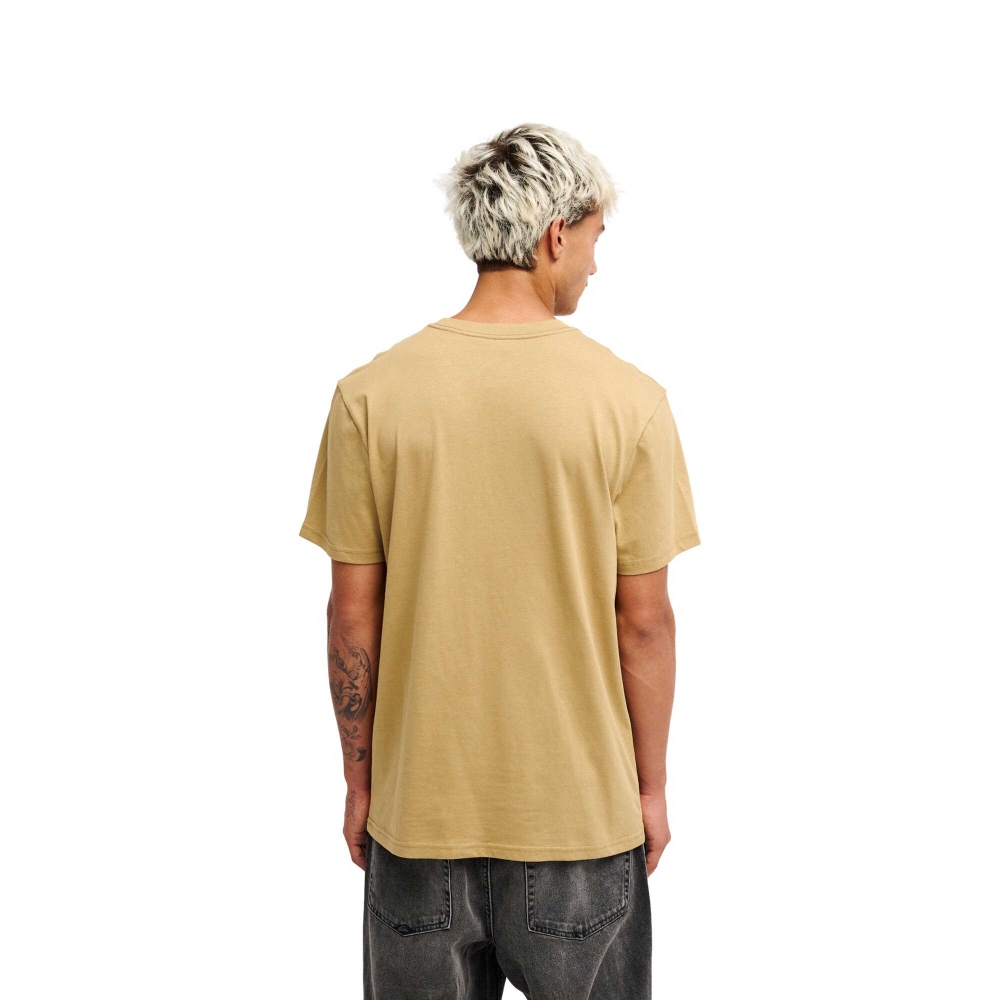 Camiseta de hombre Ev Mountain Lovers Quiksilver - Marrón Marrón-2