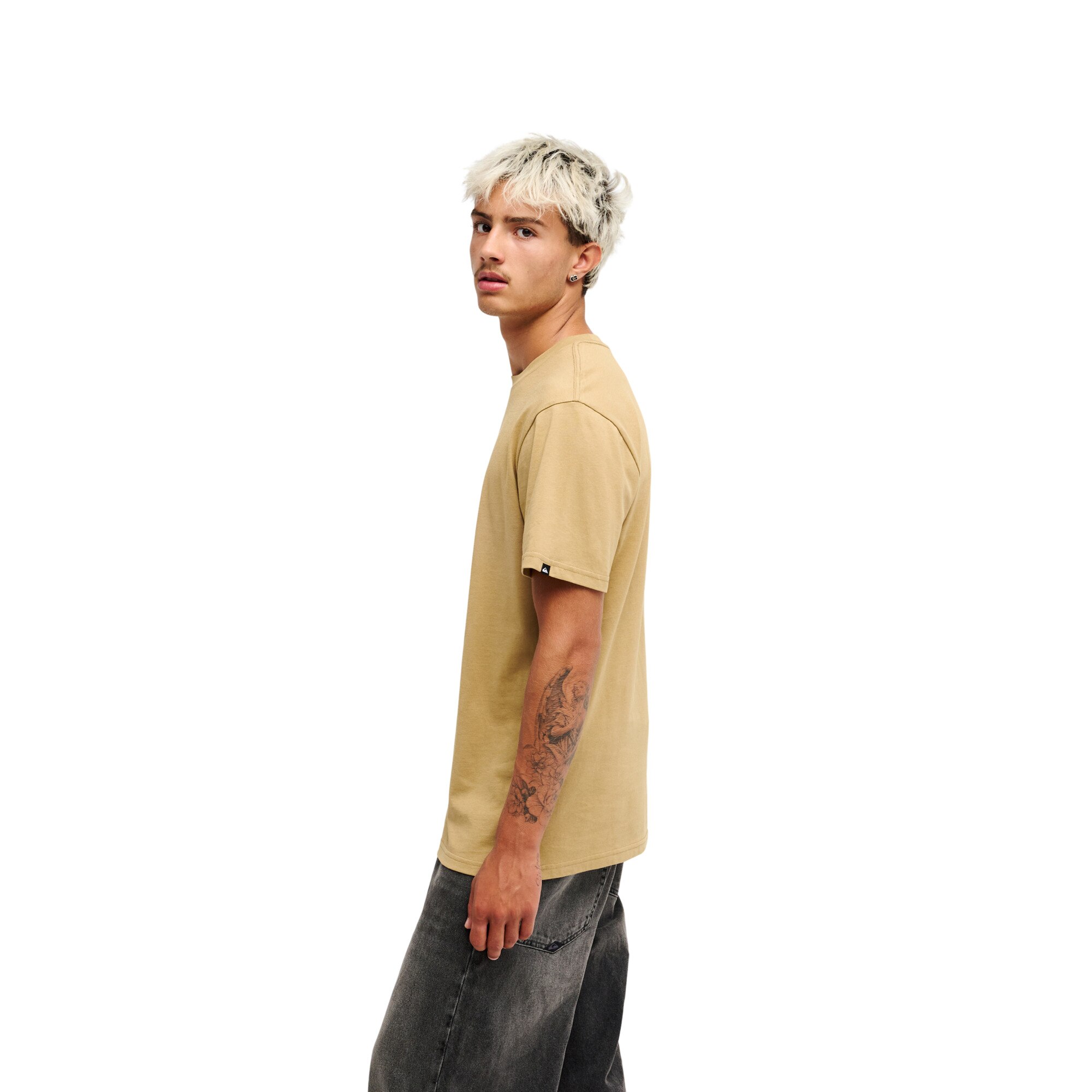 Camiseta de hombre Ev Mountain Lovers Quiksilver - Marrón Marrón-3