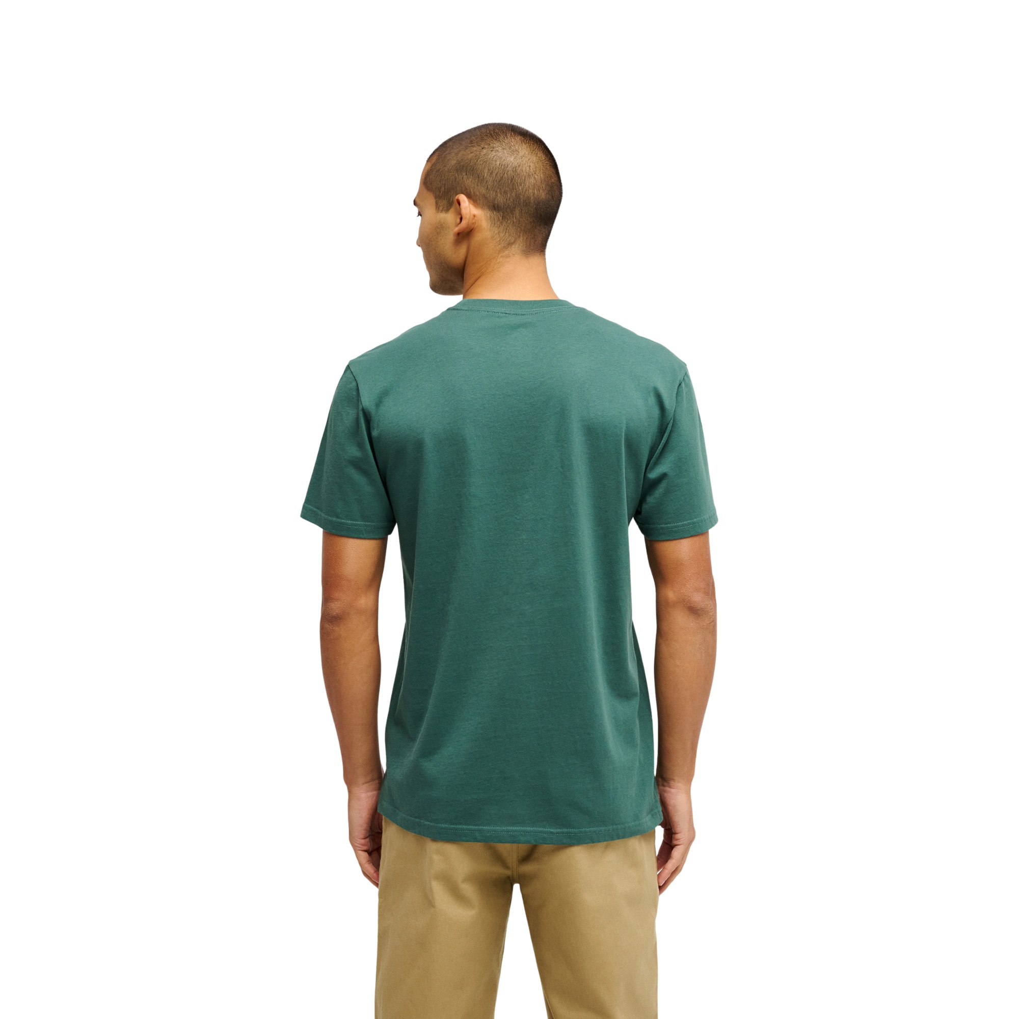 Camiseta de hombre Ev Comp Logo Quiksilver - Verde Verde-2