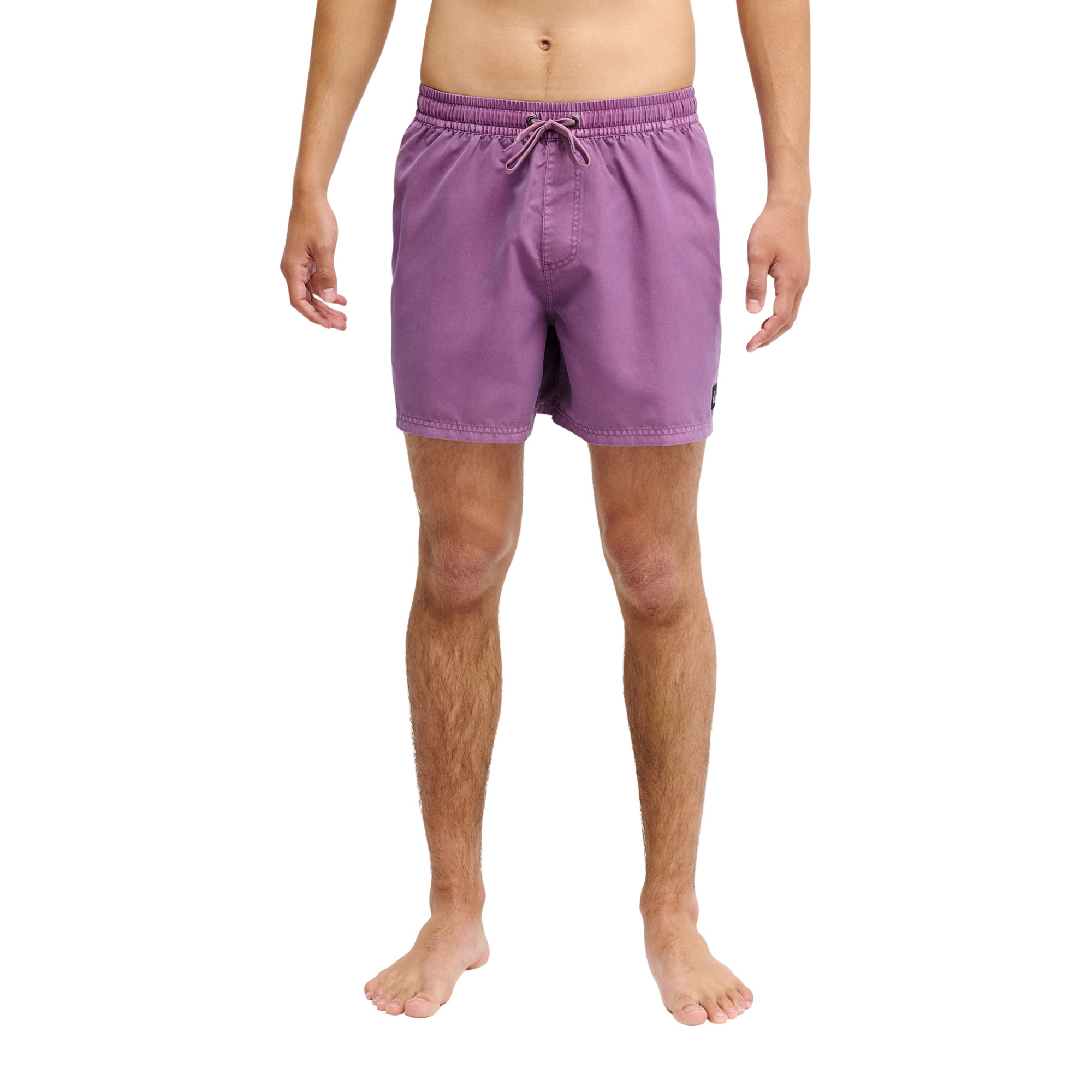 Imagen 0 de Bañador de hombre Everyday Surfwash Volley 15" Quiksilver Morado