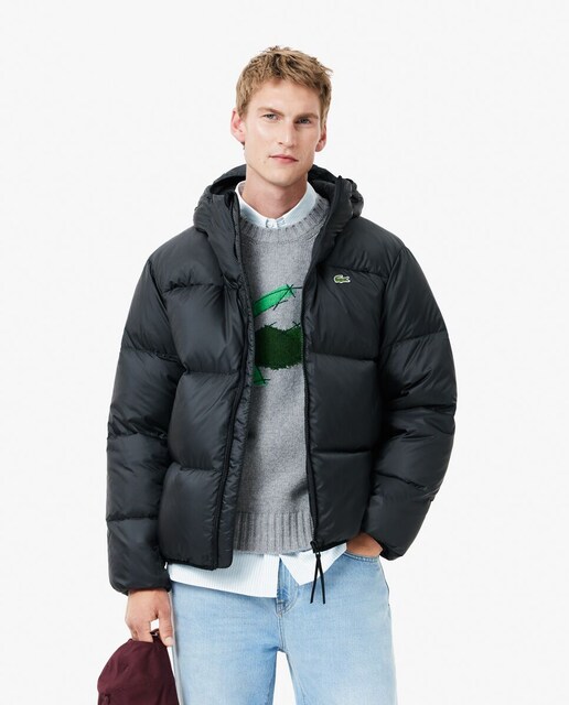 Imagen 0 de Chaqueta de hombre corta de plumón impermeable