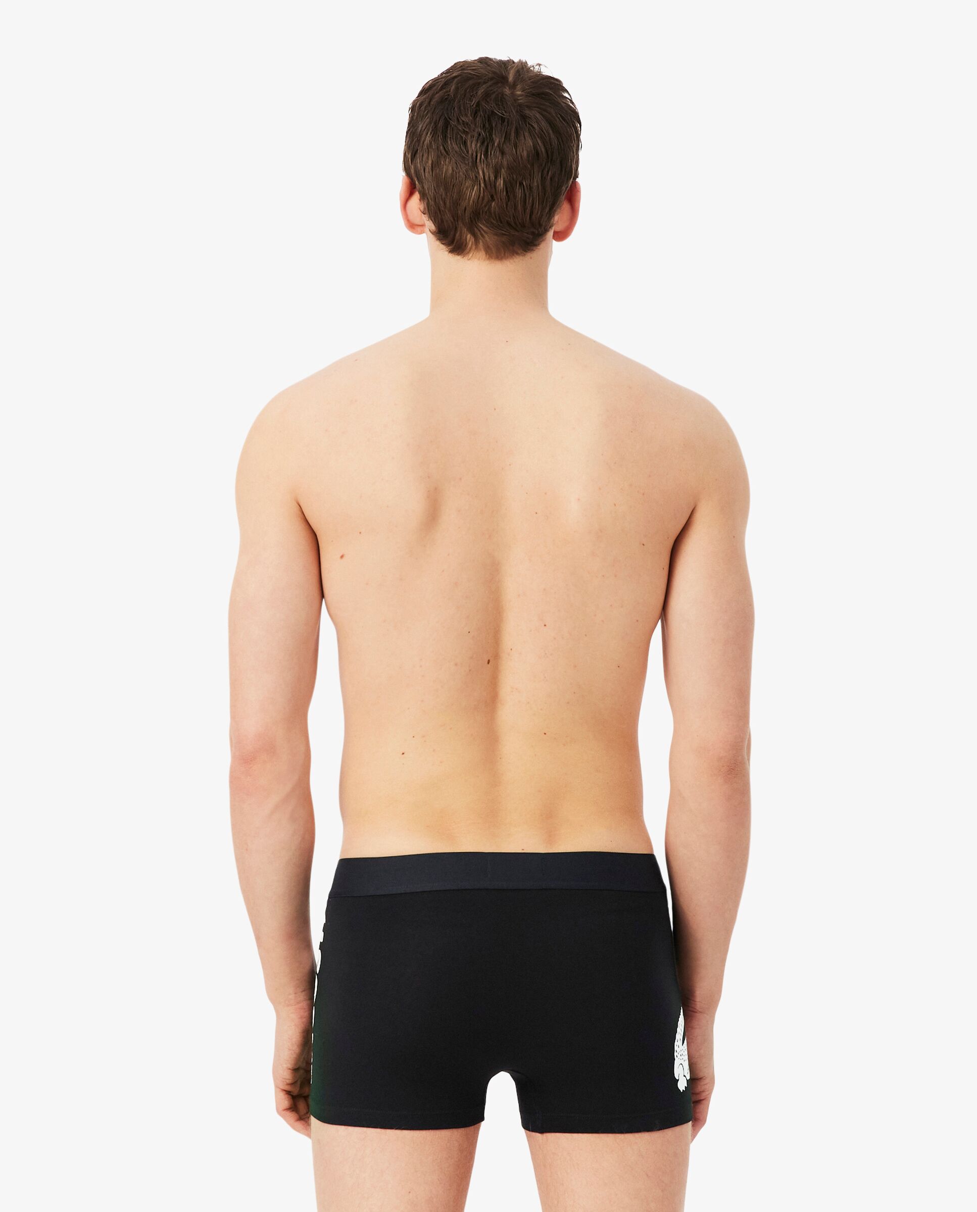 Pack de 3 calzoncillos de algodón elástico con logo en la cintura - Lacoste - Negro Negro-2