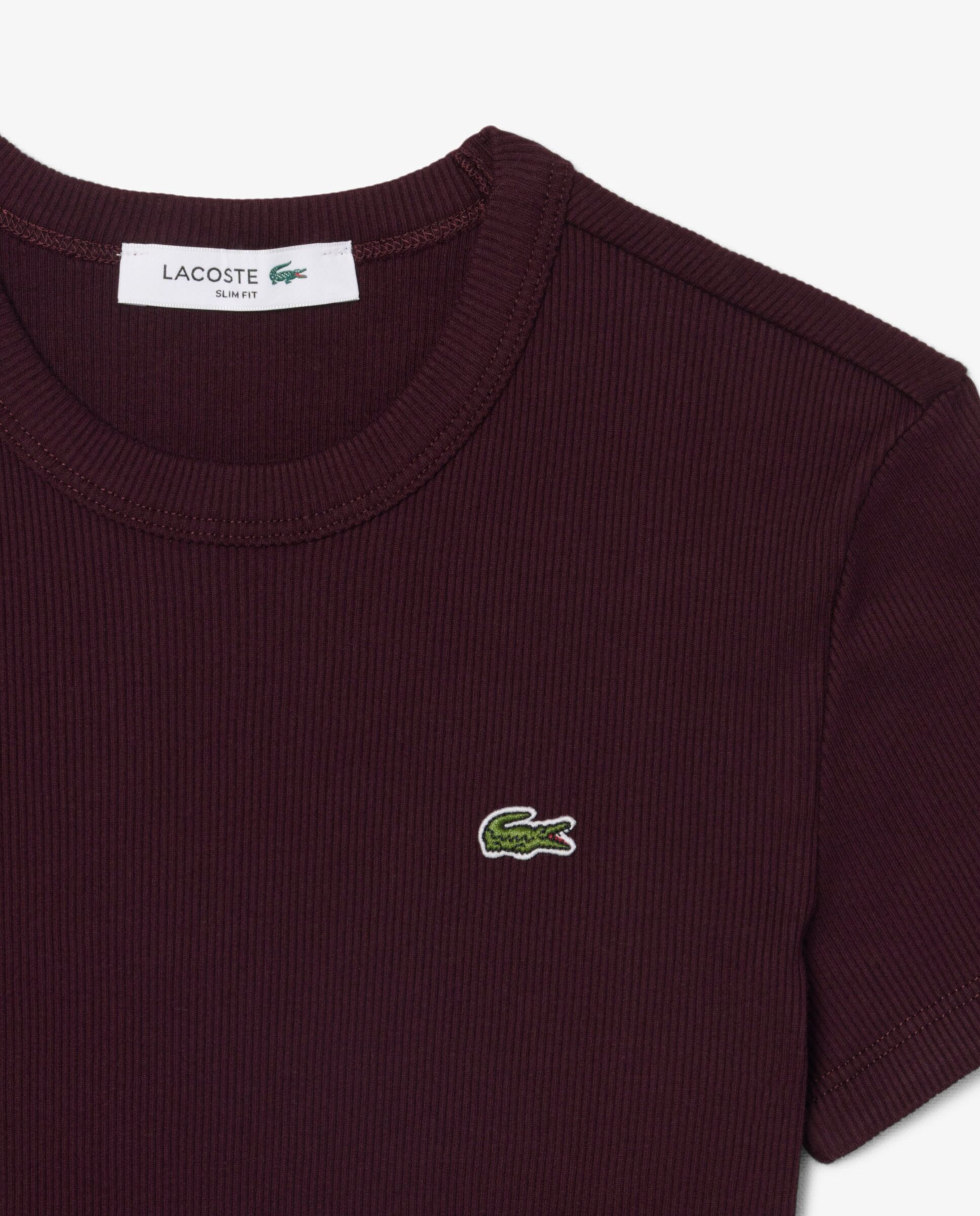 Camiseta de mujer de canalé de algodón de corte ajustado de manga corta - Lacoste - Marrón Marrón-5