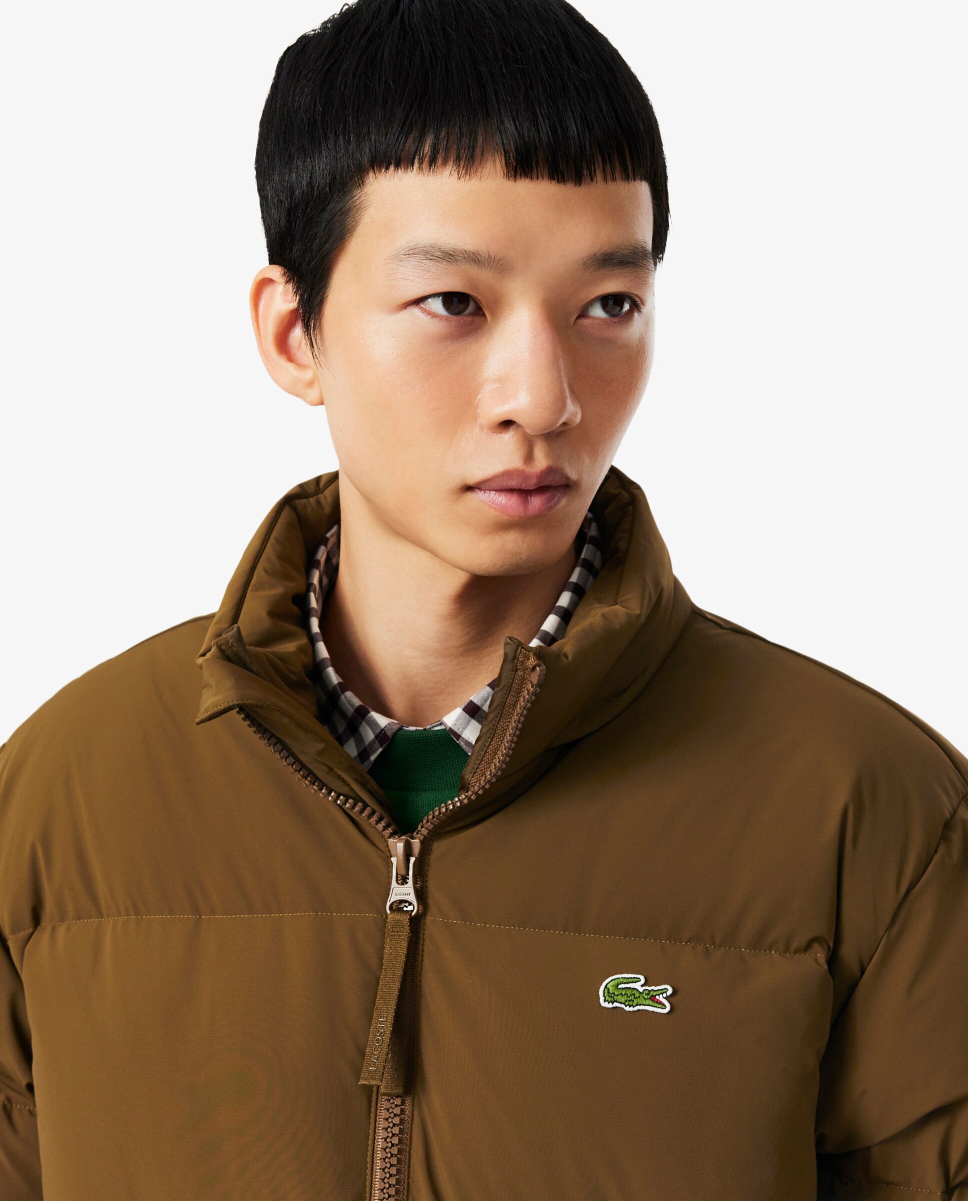 Chaqueta de hombre acolchada con capucha hidrófuga - Lacoste - Marrón Marrón-3