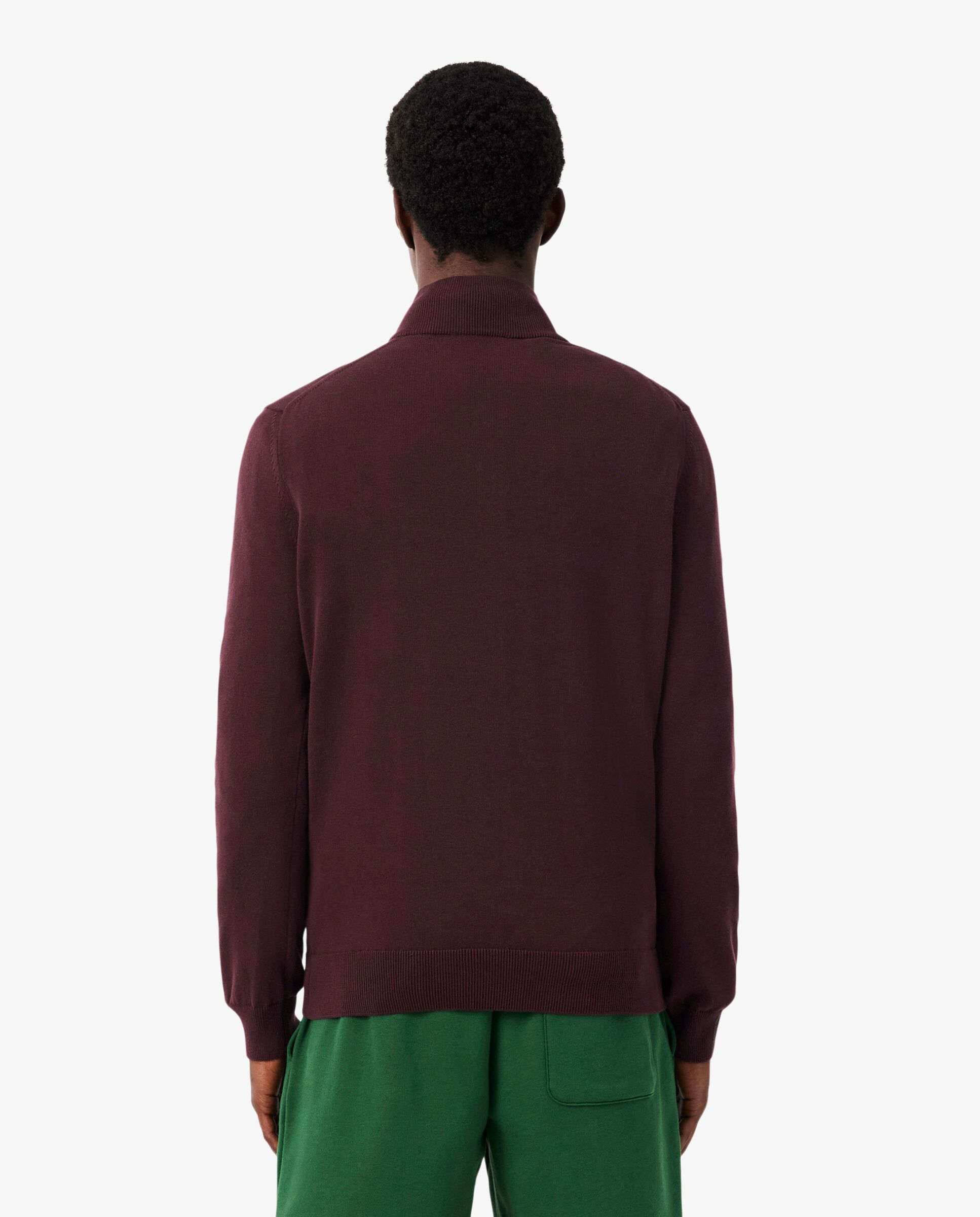 Jersey de hombre en algodón ecológico con cremallera - Lacoste - Marrón Marrón-2