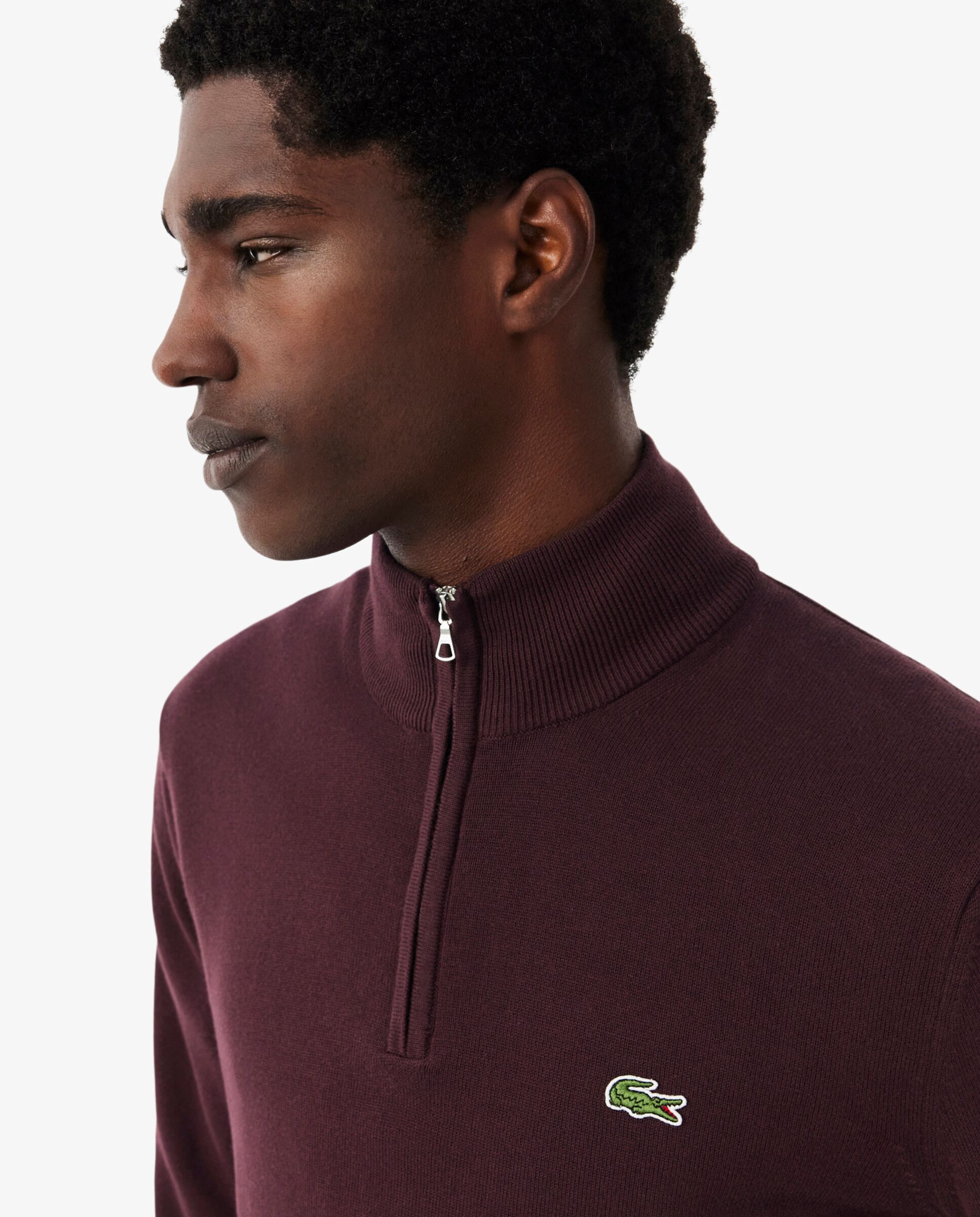 Jersey de hombre en algodón ecológico con cremallera - Lacoste - Marrón Marrón-3