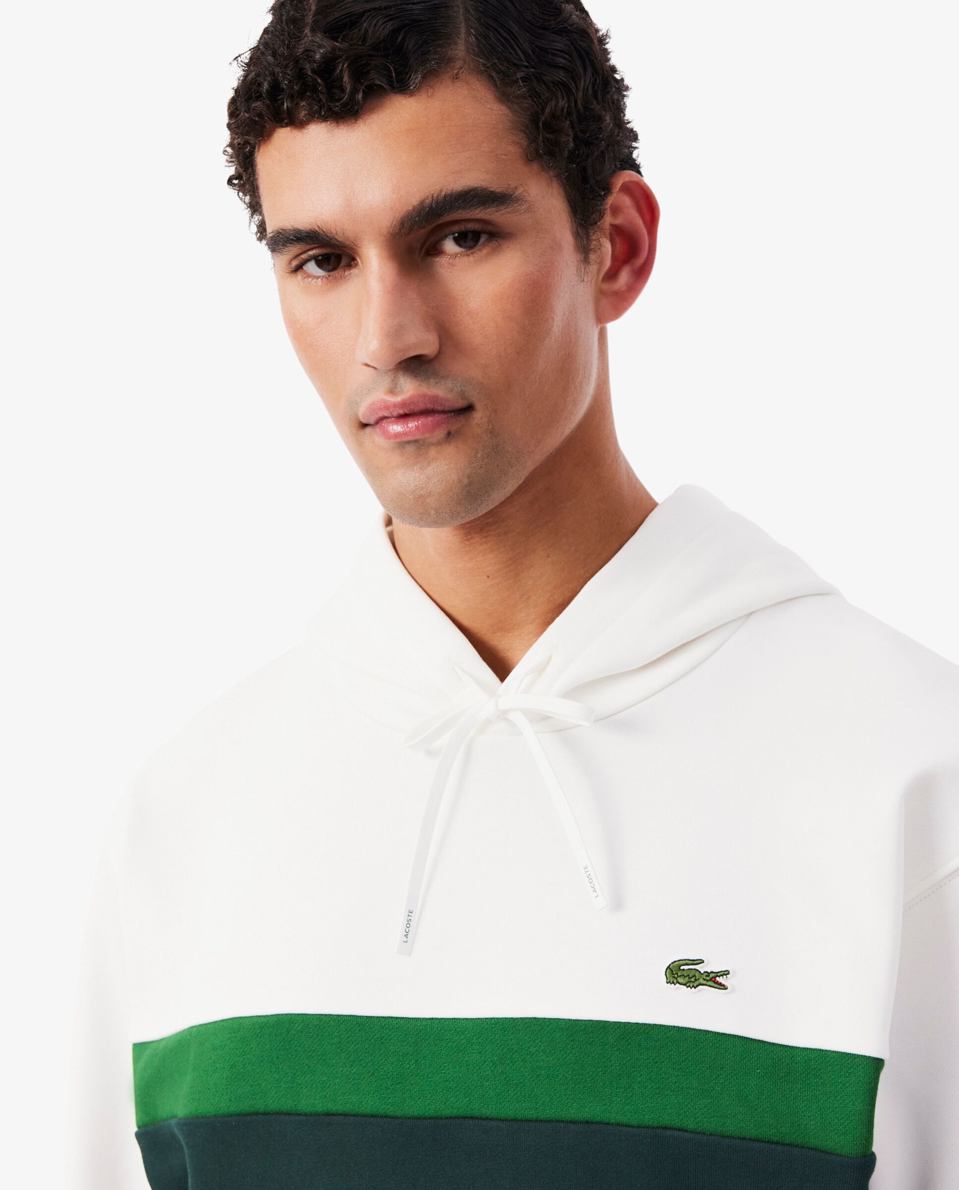 Sudadera de hombre con capucha de felpa con bloques de color en negro - Lacoste - Verde Verde-3