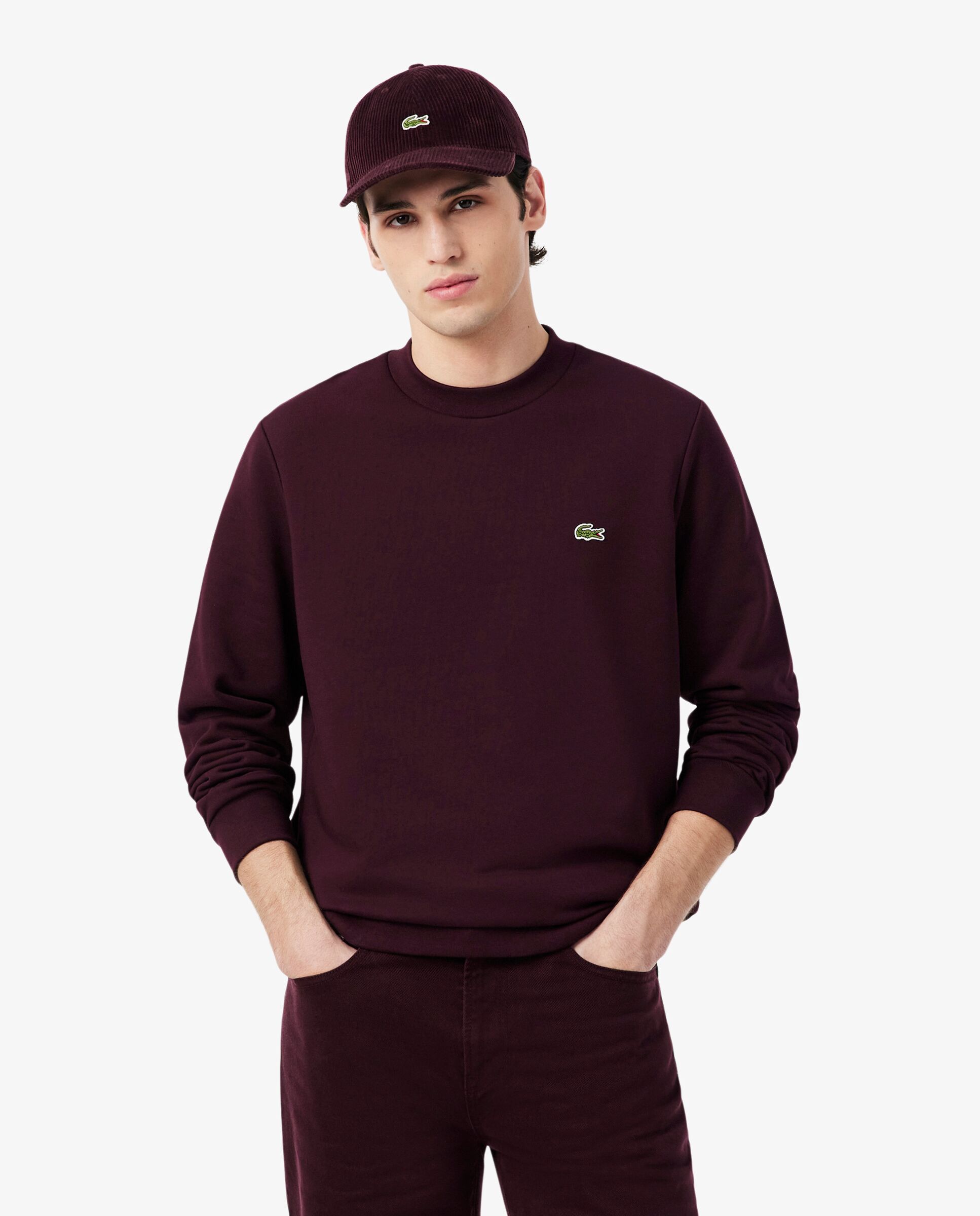 Sudaderas sin capucha de hombre - Lacoste - Marrón Marrón-1