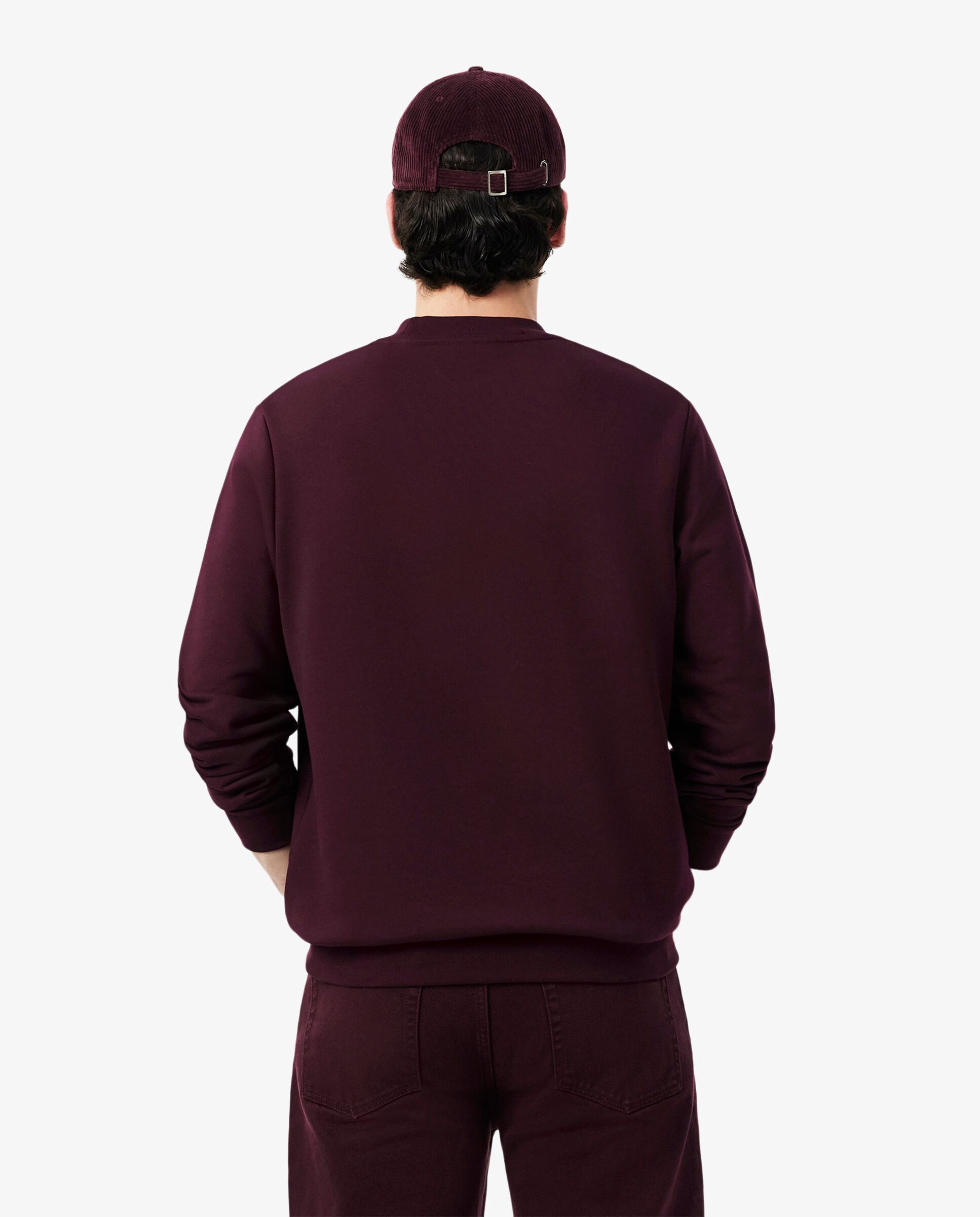 Sudaderas sin capucha de hombre - Lacoste - Marrón Marrón-2