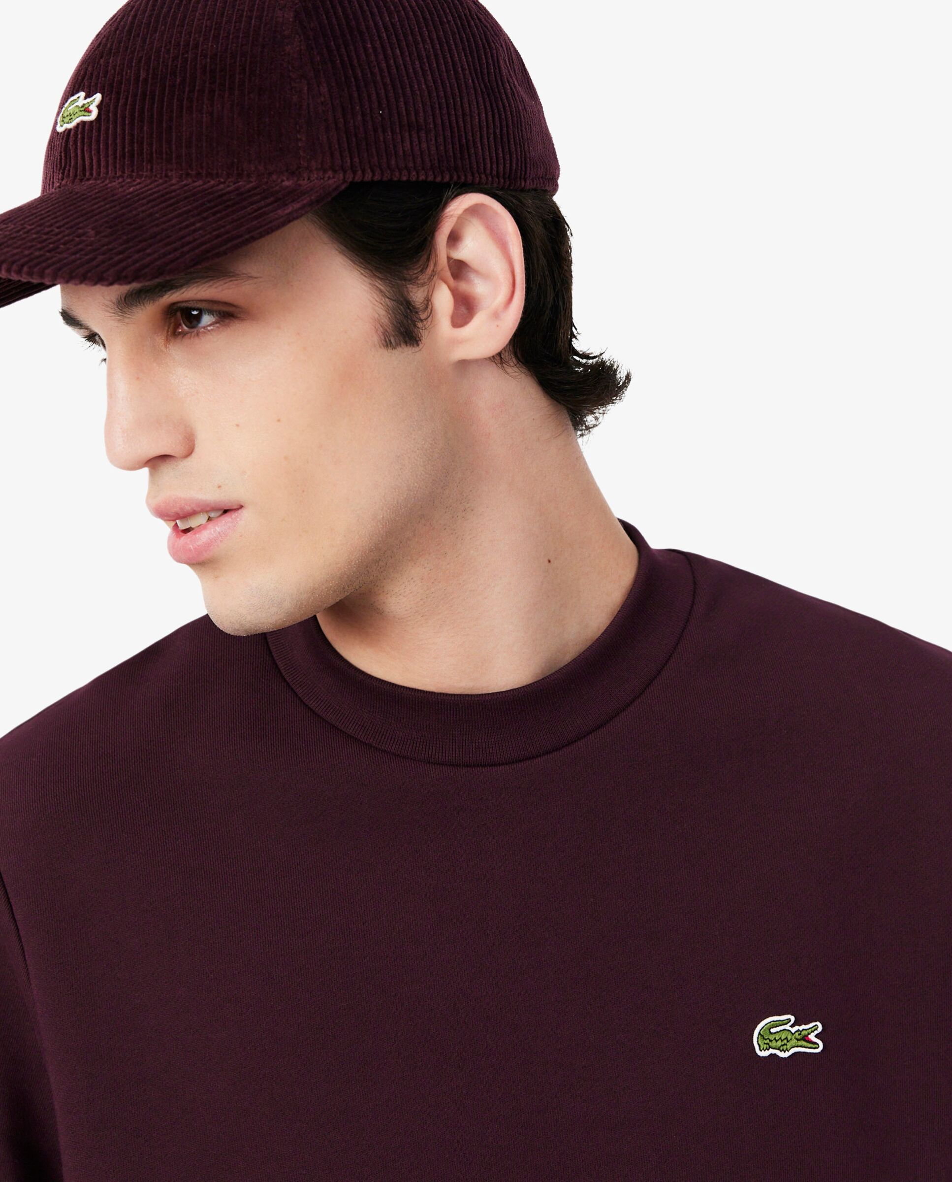 Sudaderas sin capucha de hombre - Lacoste - Marrón Marrón-3