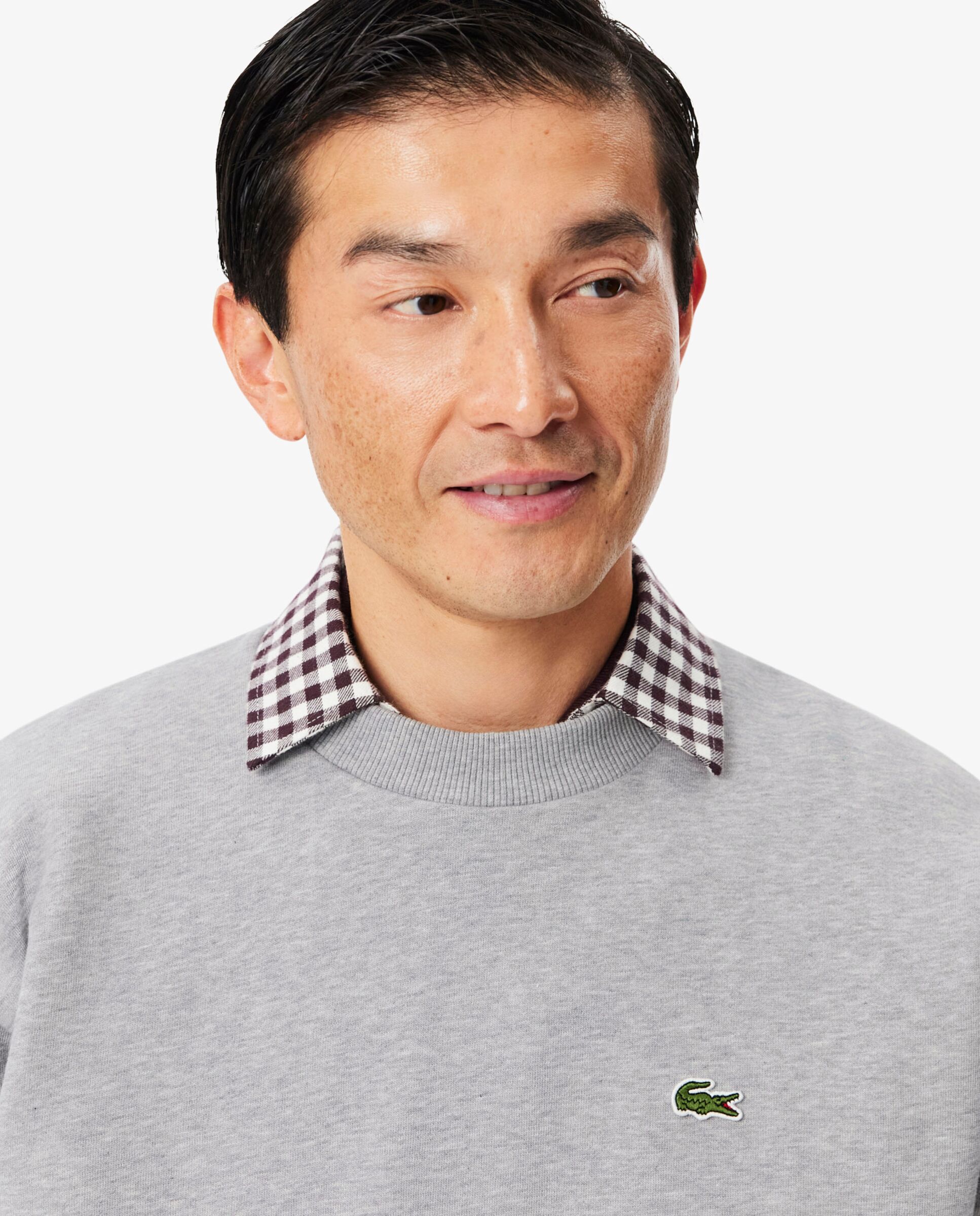 Sudadera de hombre de felpa de algodón en negro - Lacoste - Gris oscuro Gris oscuro-3