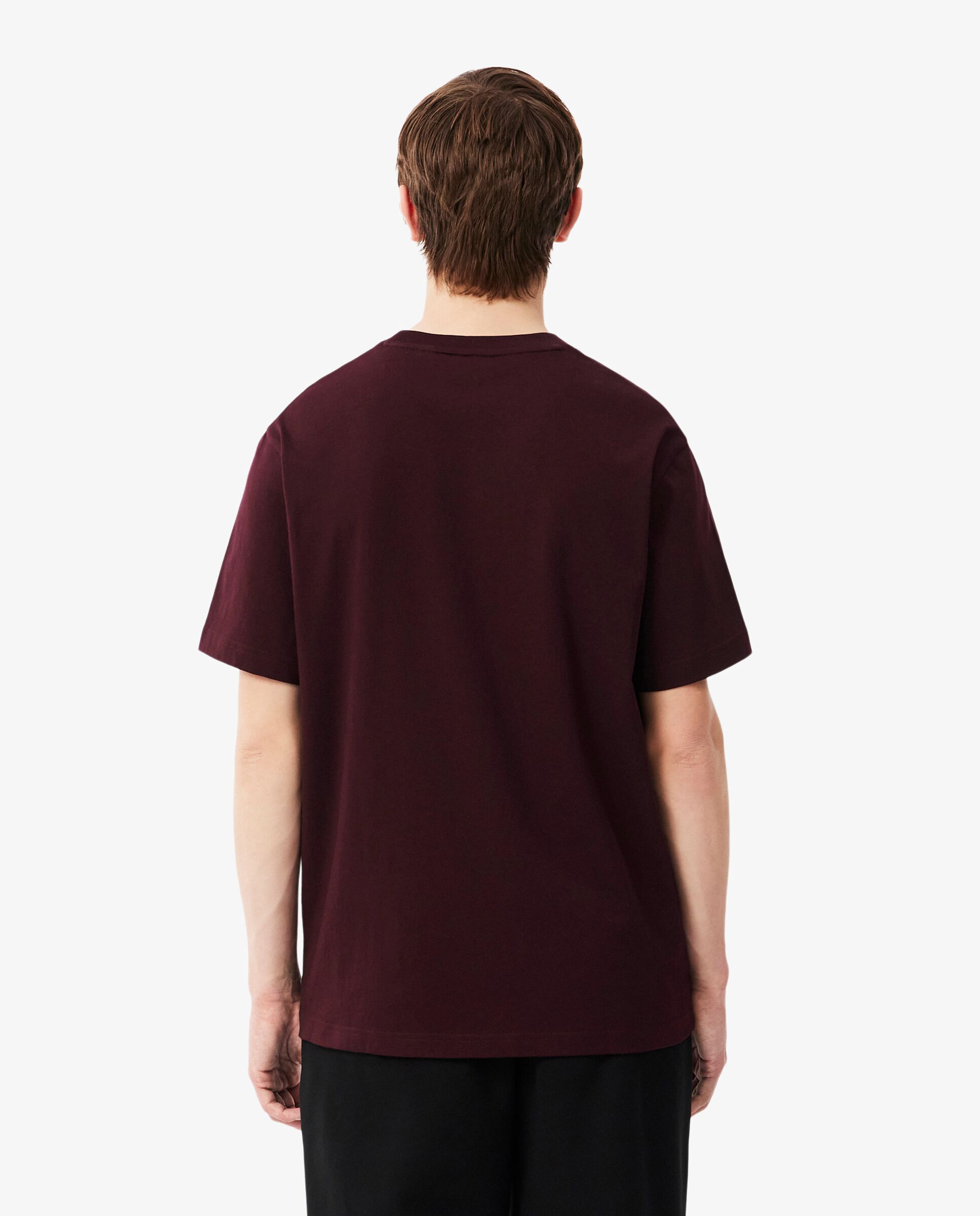 Camiseta de hombre de algodón de manga corta - Lacoste - Marrón Marrón-2