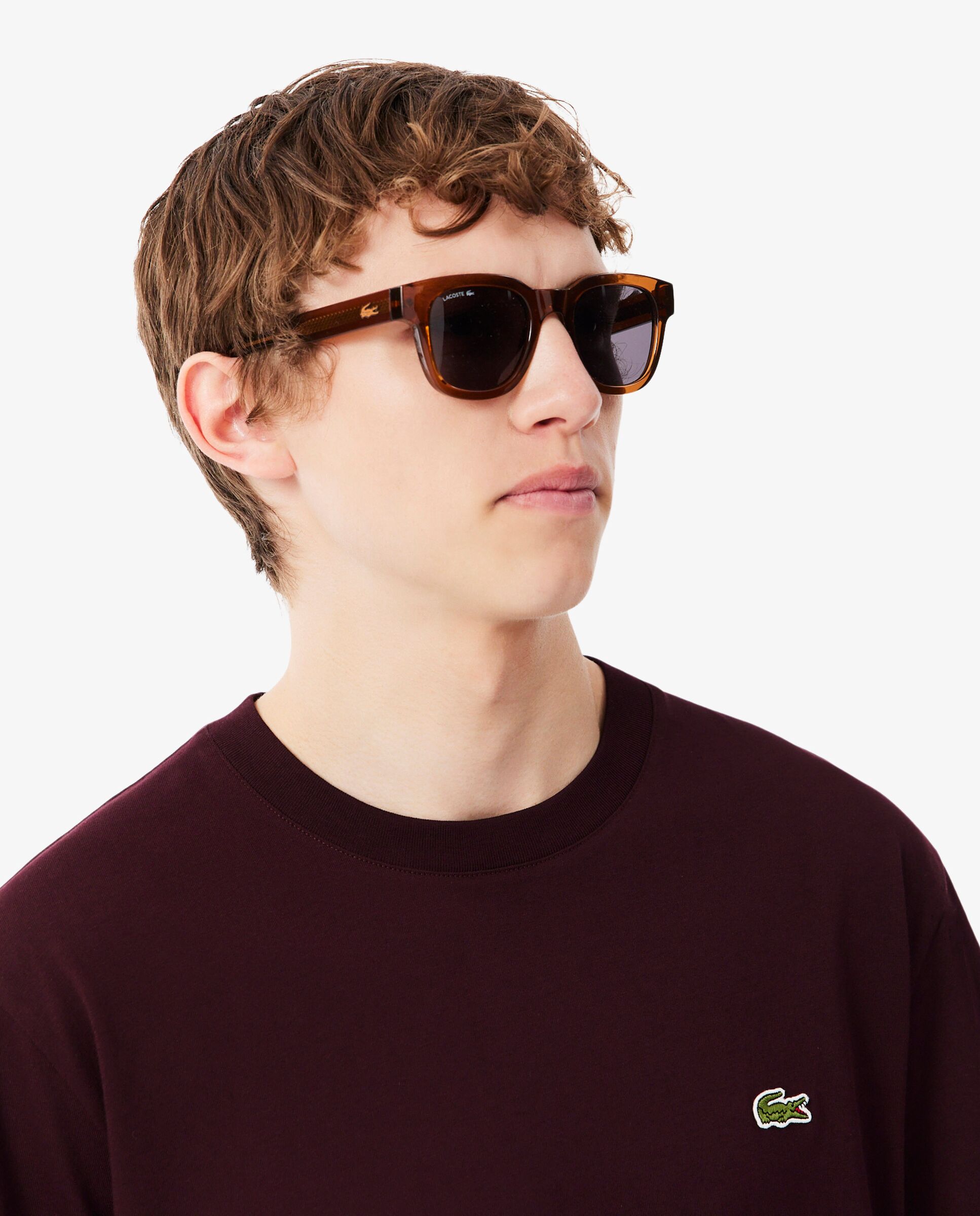 Camiseta de hombre de algodón de manga corta - Lacoste - Marrón Marrón-3