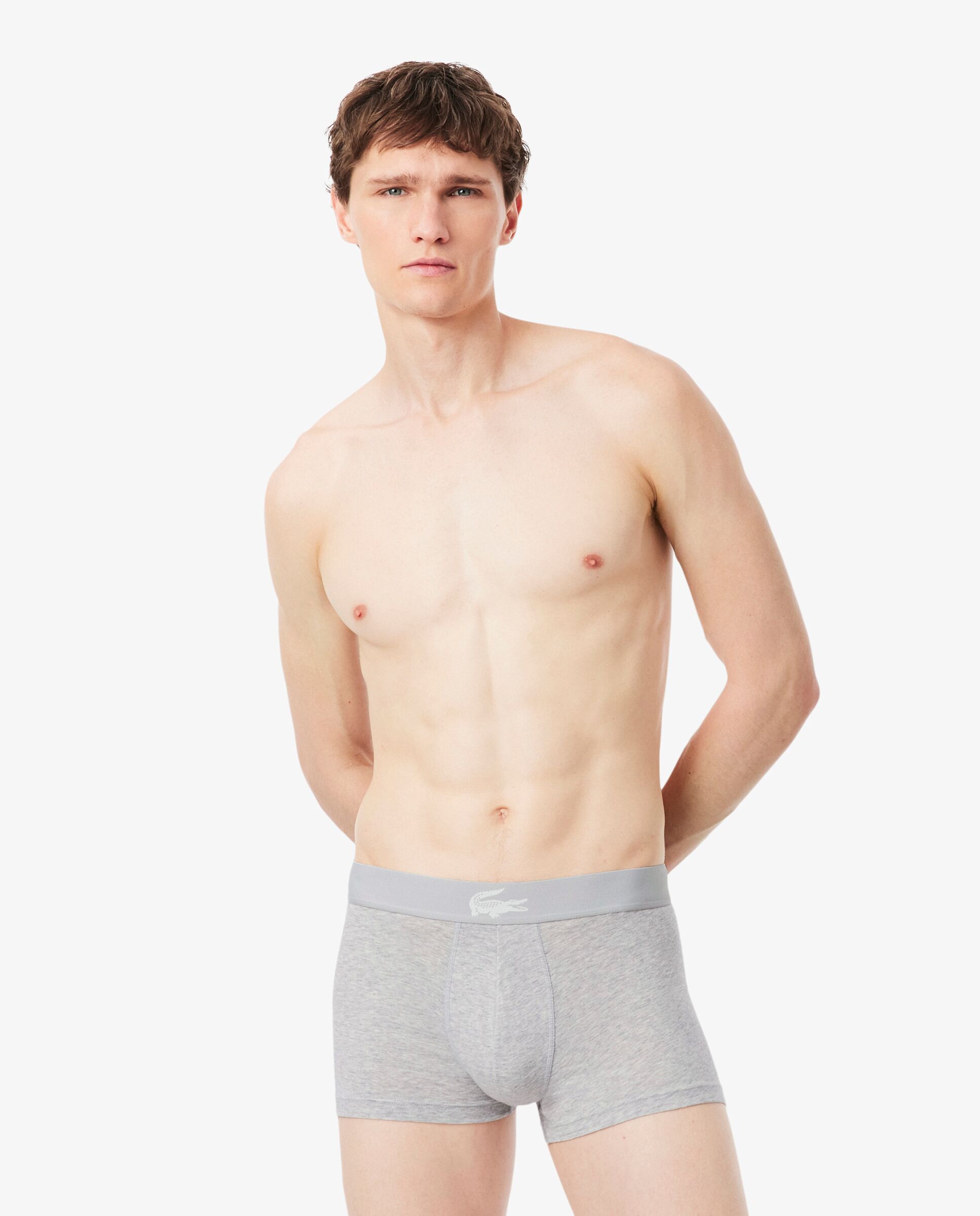 Pack de 3 calzoncillos de algodón con logo en la cintura - Lacoste - Gris claro Gris claro-1