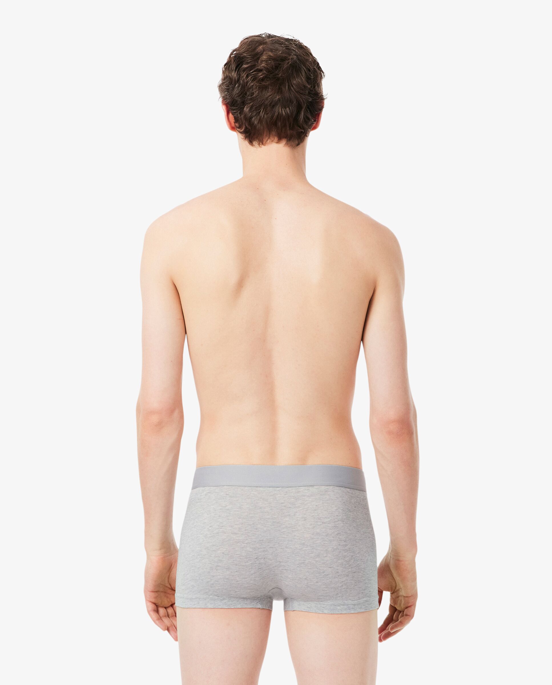 Pack de 3 calzoncillos de algodón con logo en la cintura - Lacoste - Gris claro Gris claro-2