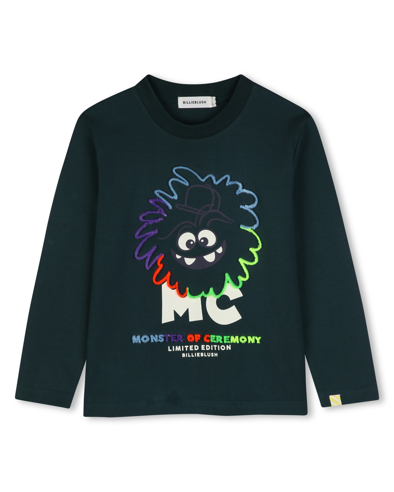 Imagen 1 de Camiseta de niño de manga larga con estampado grande Azul