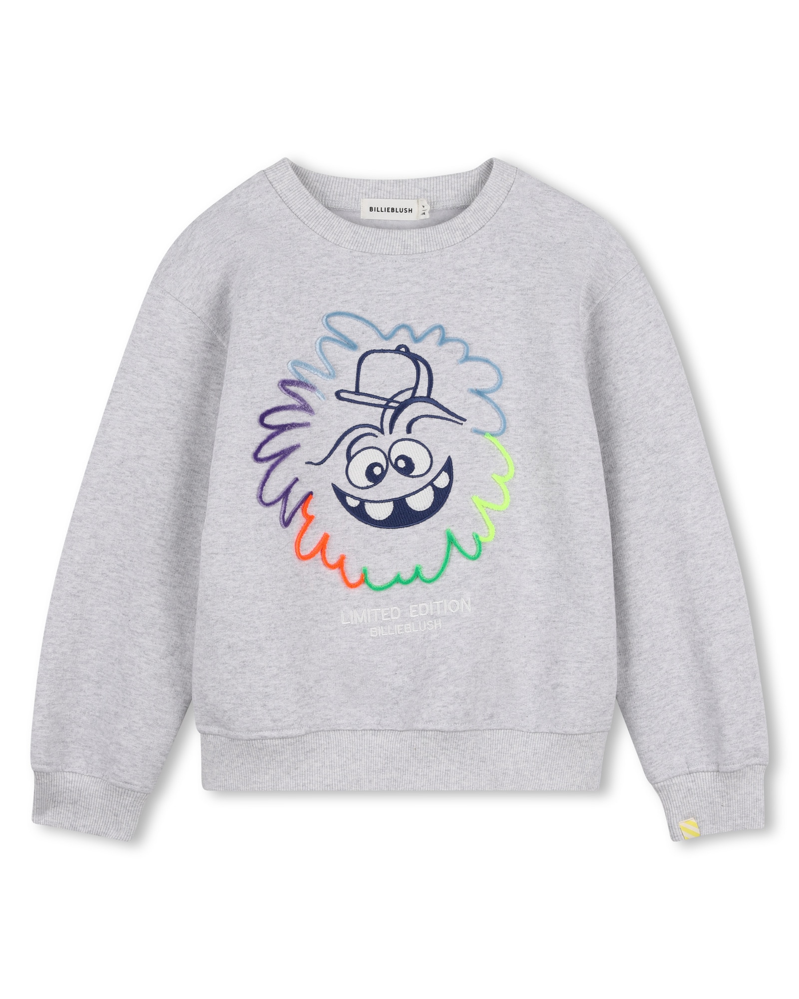 Imagen 0 de Sudadera con capucha de niño con estampado grande Gris claro