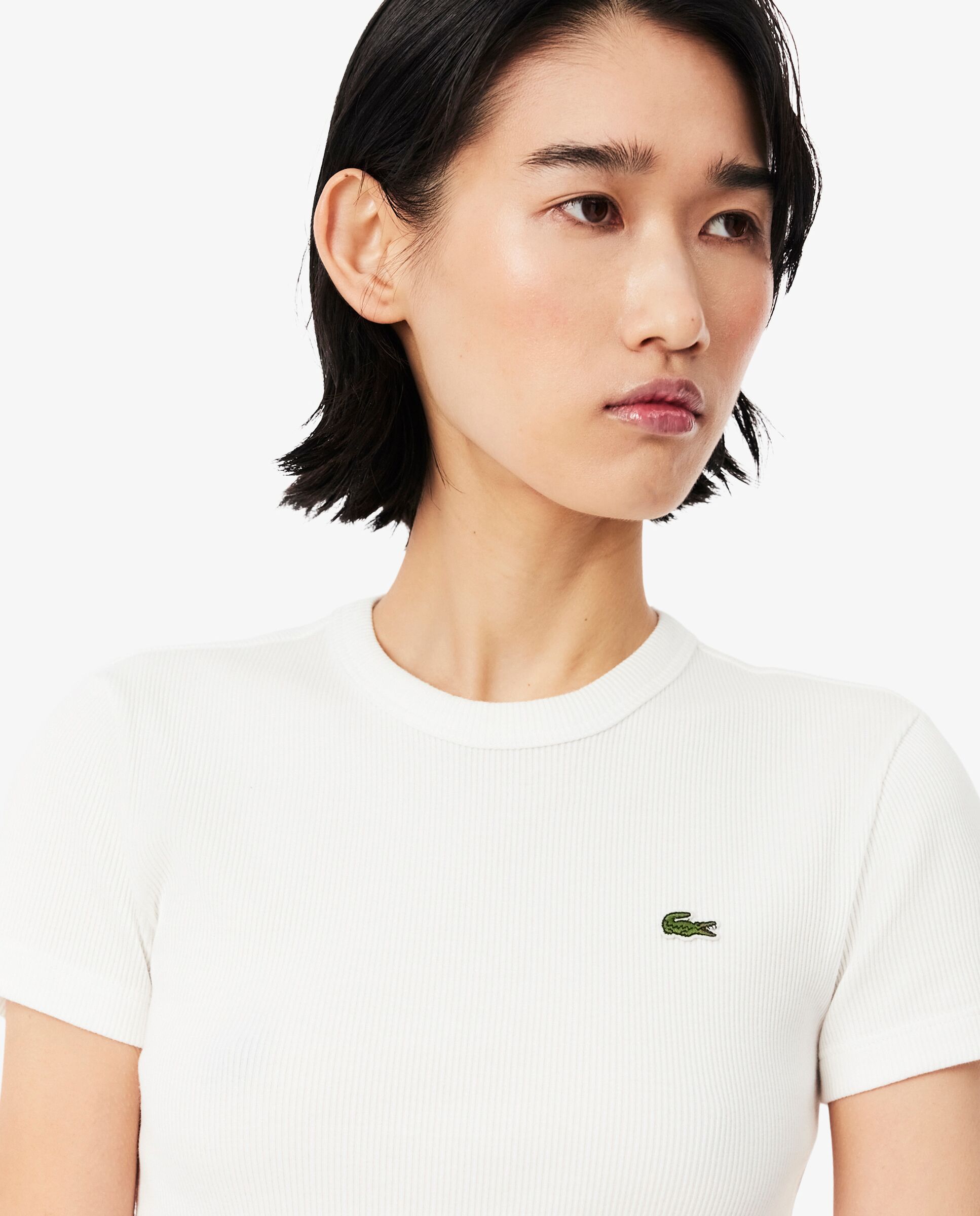 Camiseta de mujer de canalé de algodón de corte ajustado de manga corta - Lacoste - Blanco Blanco-3