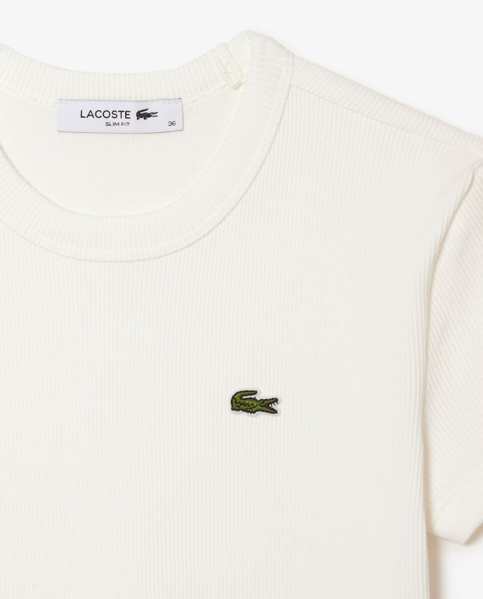 Camiseta de mujer de canalé de algodón de corte ajustado de manga corta - Lacoste - Blanco Blanco-5