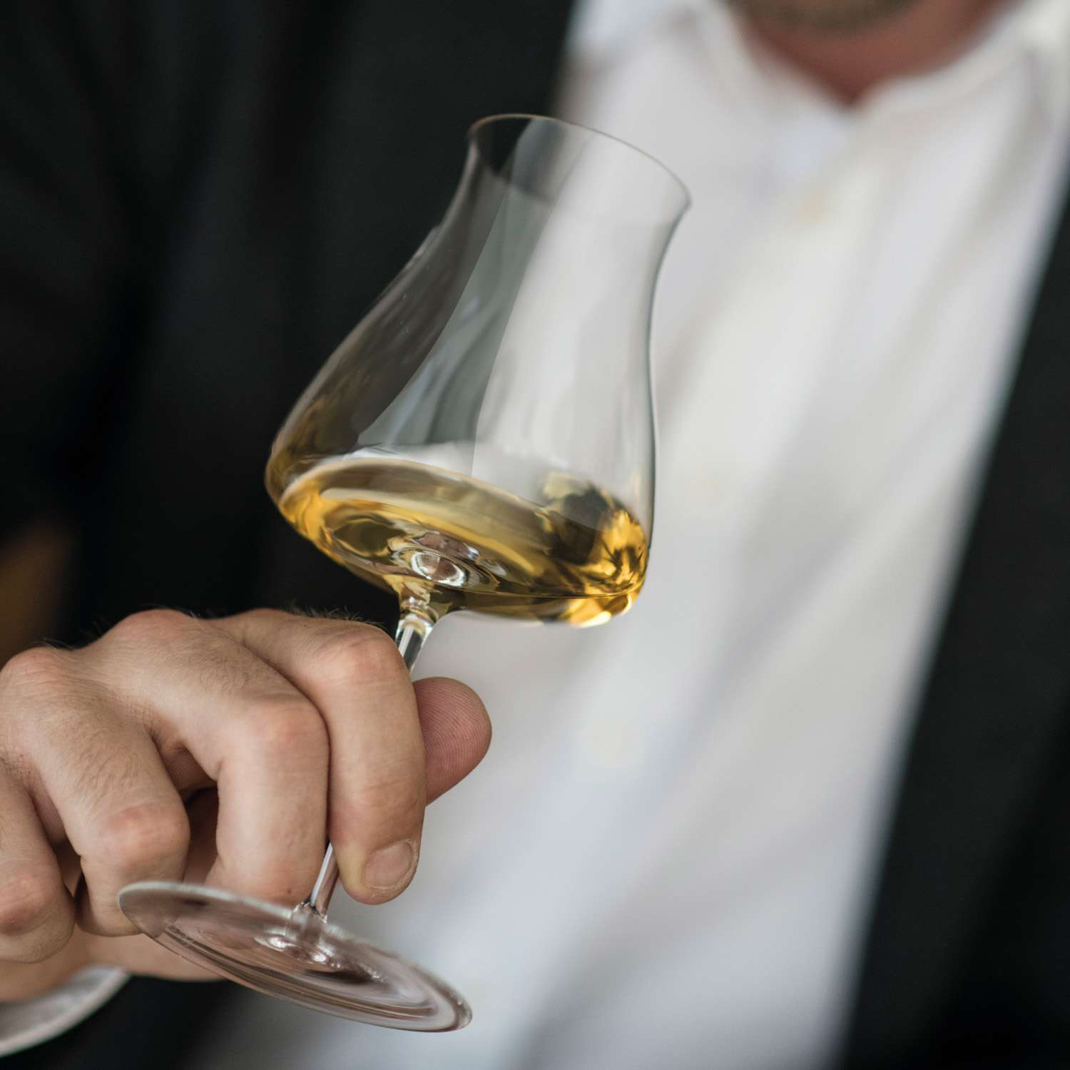 Imagen 4 de Copa de vino blanco Riesling Grand Cru The Moment Schott Zwiesel - Cristal Cristal