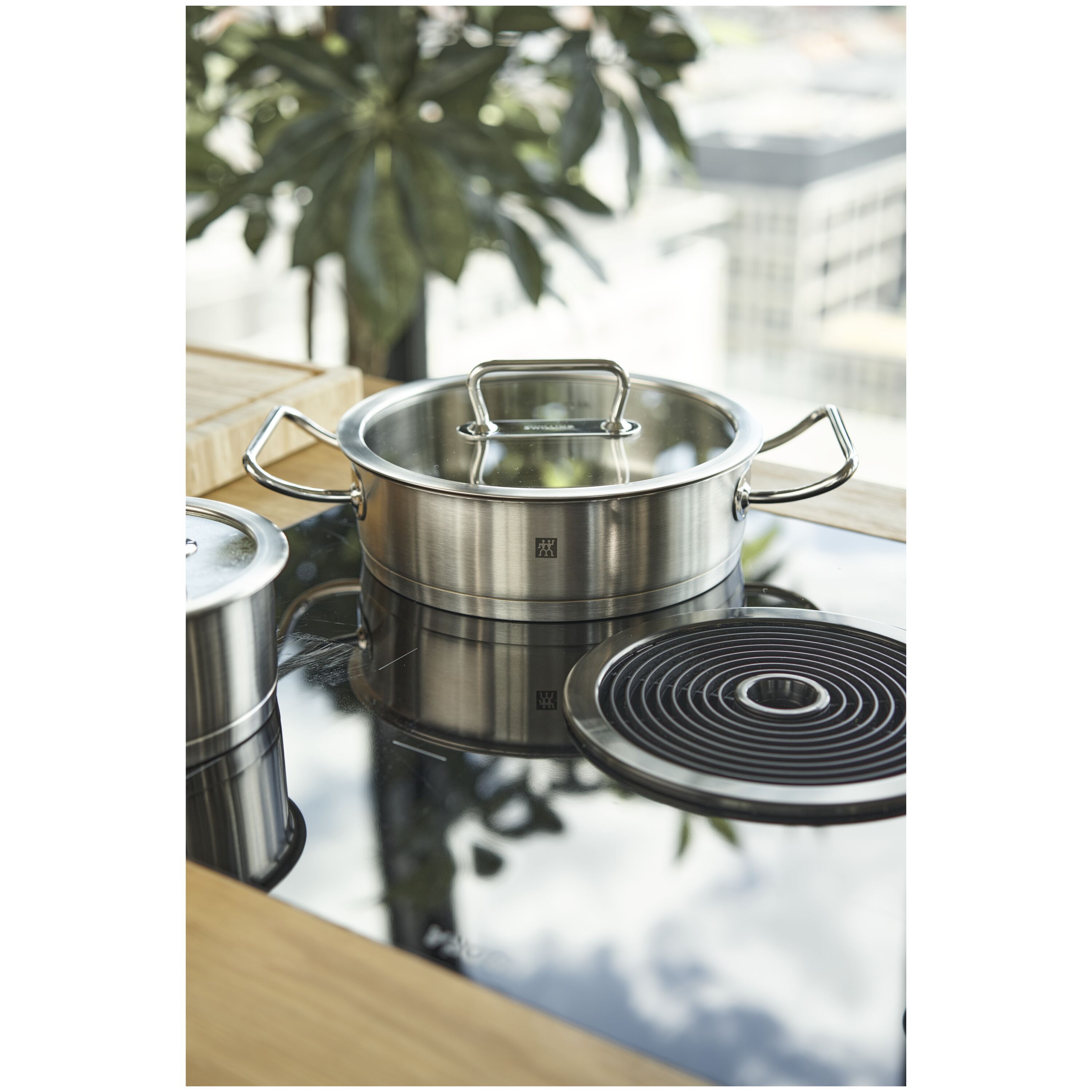 Rustidera de acero inoxidable Pro Zwilling - Plata 24 cm Plata-5