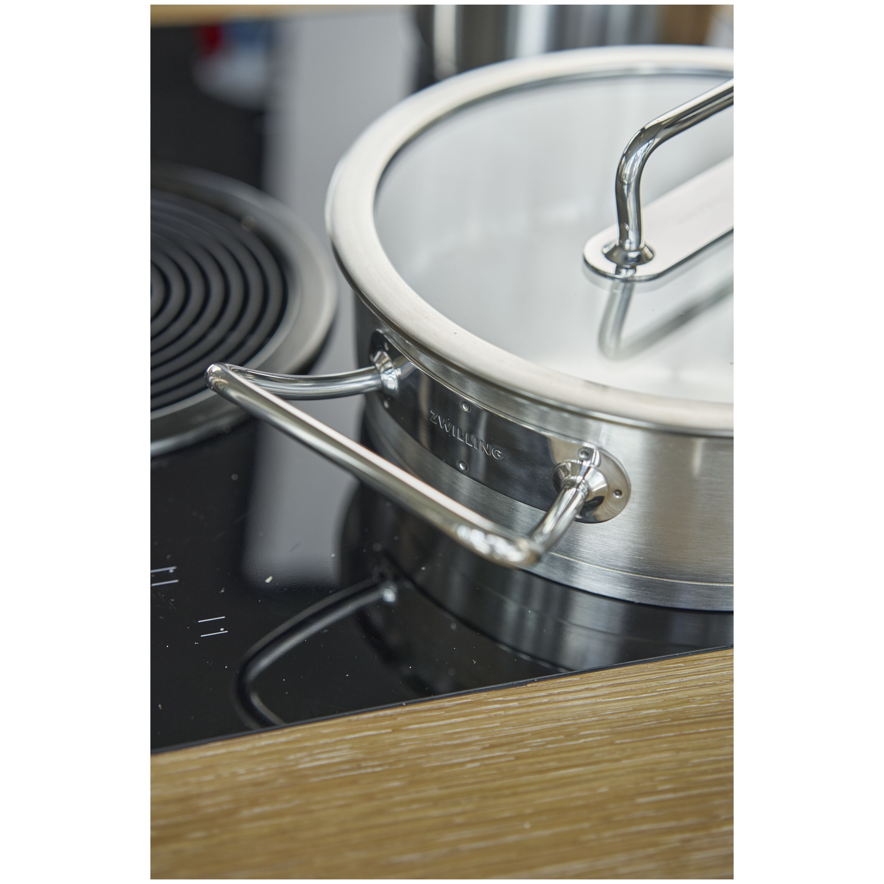 Rustidera de acero inoxidable Pro Zwilling - Plata 24 cm Plata-6