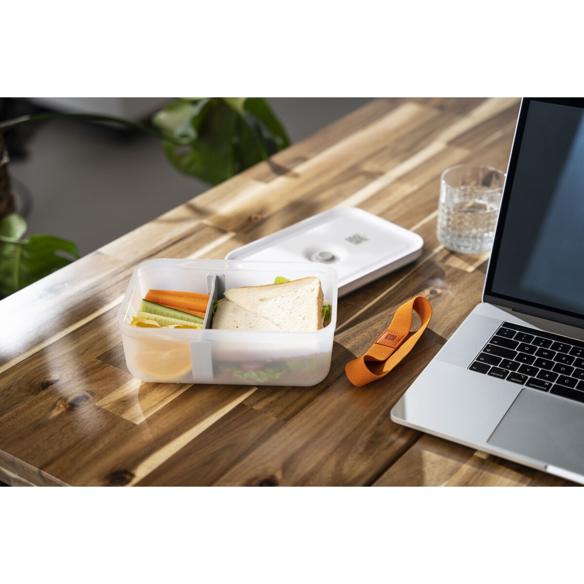 Set de 3 bandas elásticas Fresh & Save Zwilling Multicolor-6