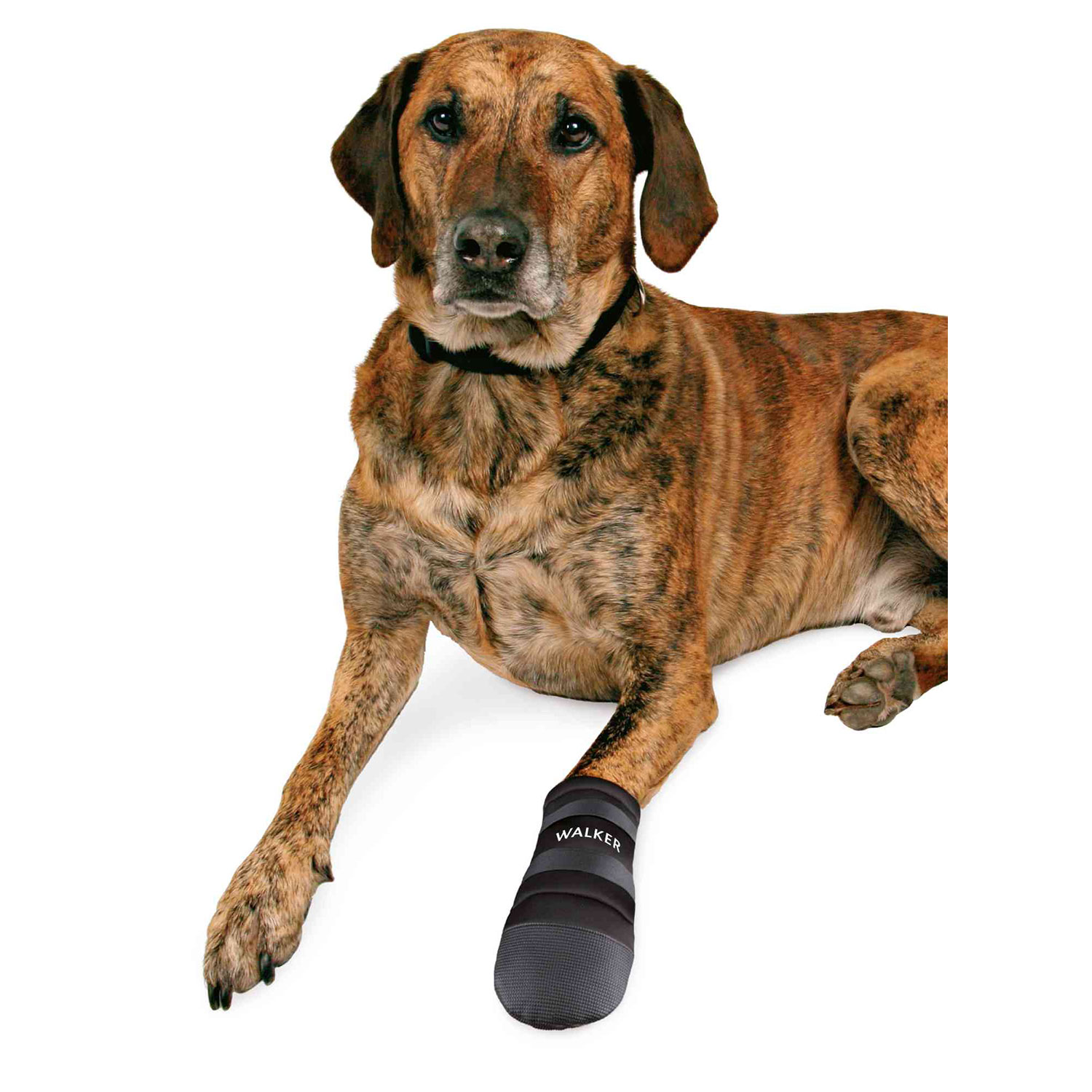 Imagen 2 de Botas protectoras Trixie para perros Walker