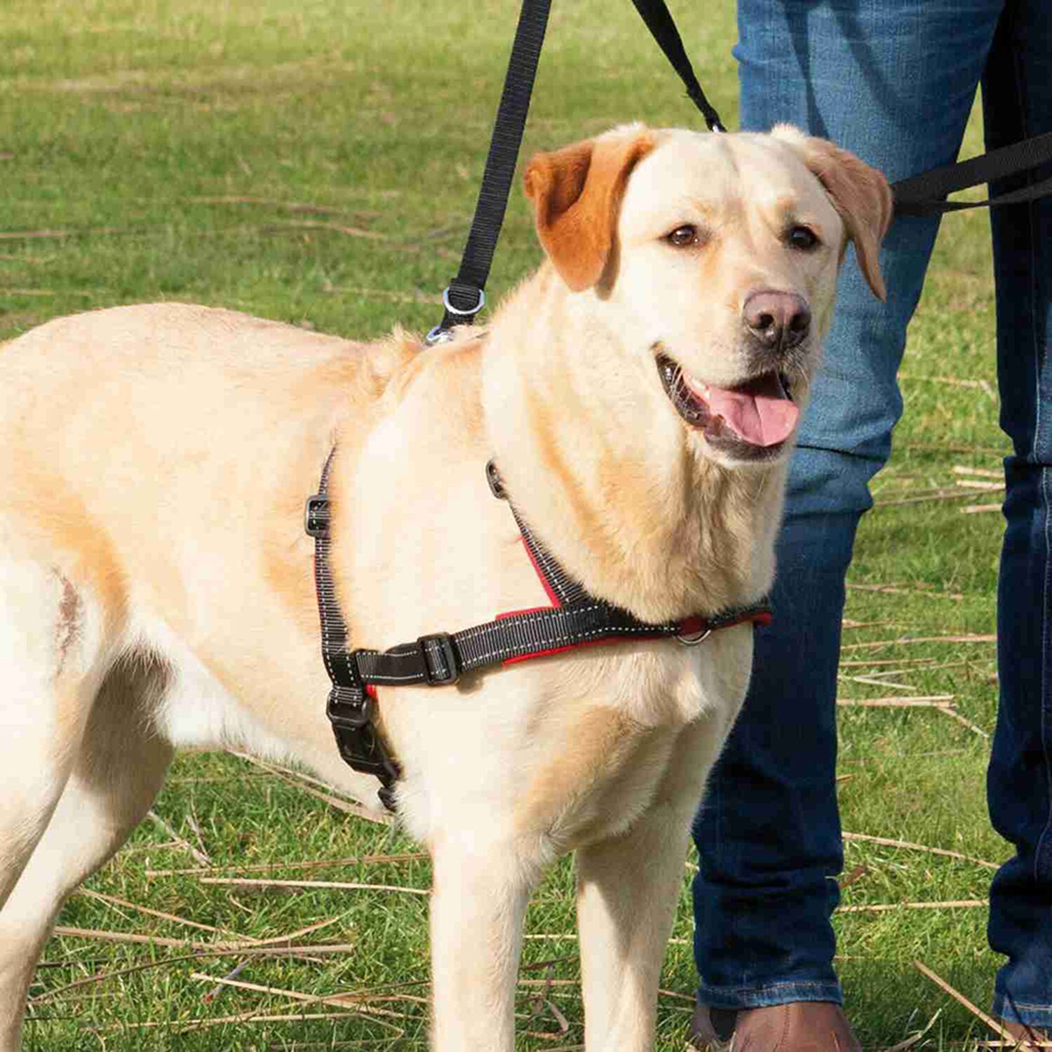 Arnés guía Trixie para perros Soft 3