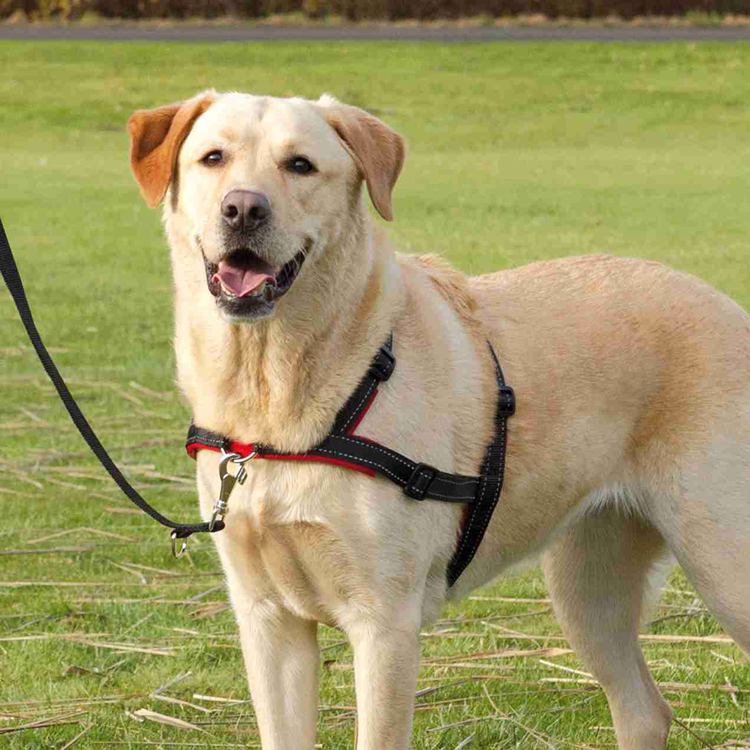 Arnés guía Trixie para perros Soft 4