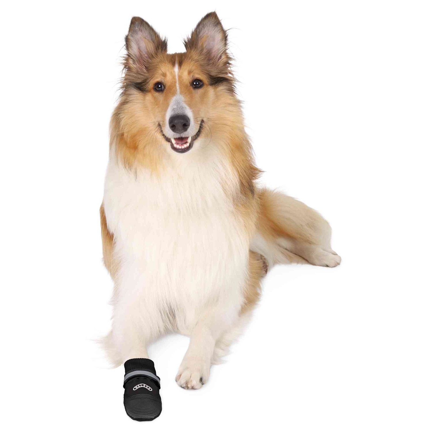 Imagen 2 de Botas Trixie para perros Confort Walker