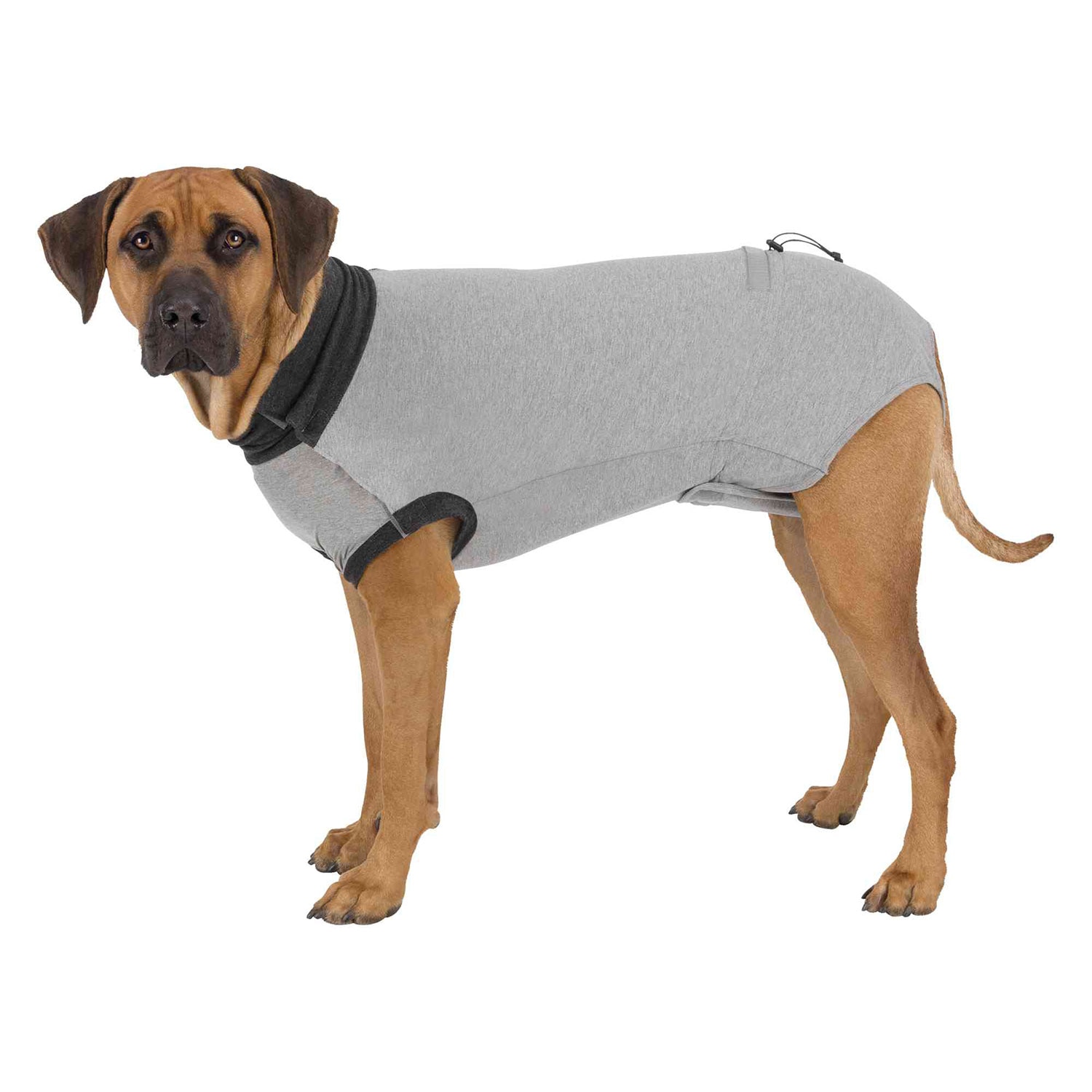 Body Protector Trixie para perros 2