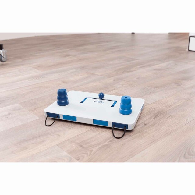 Imagen 0 de Juguete interactivo Trixie para perros Dog Activity Move2Win