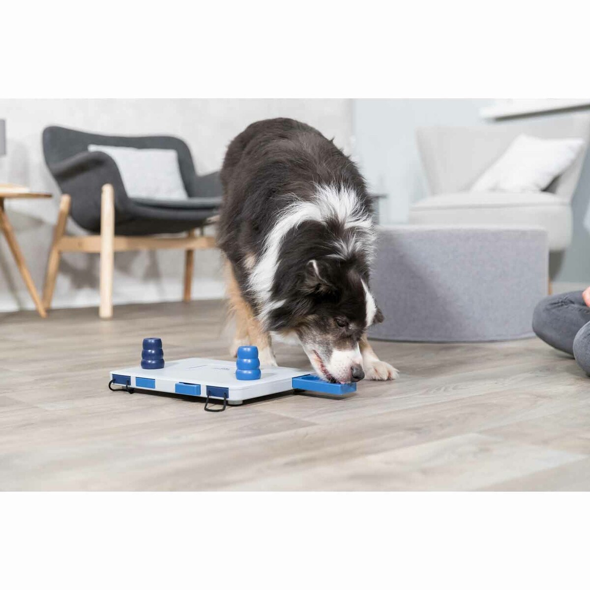 Juguete interactivo Trixie para perros Dog Activity Move2Win 3