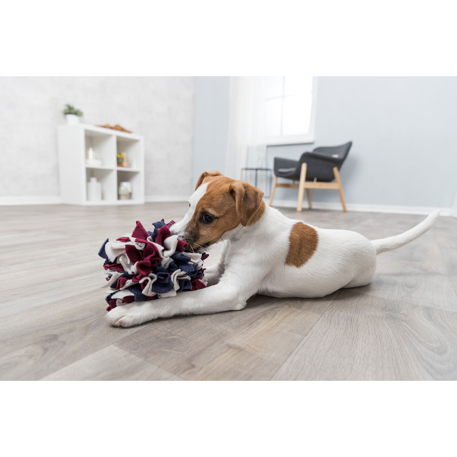 Imagen 5 de Juguete interactivo Trixie para perros pelota para olfatear