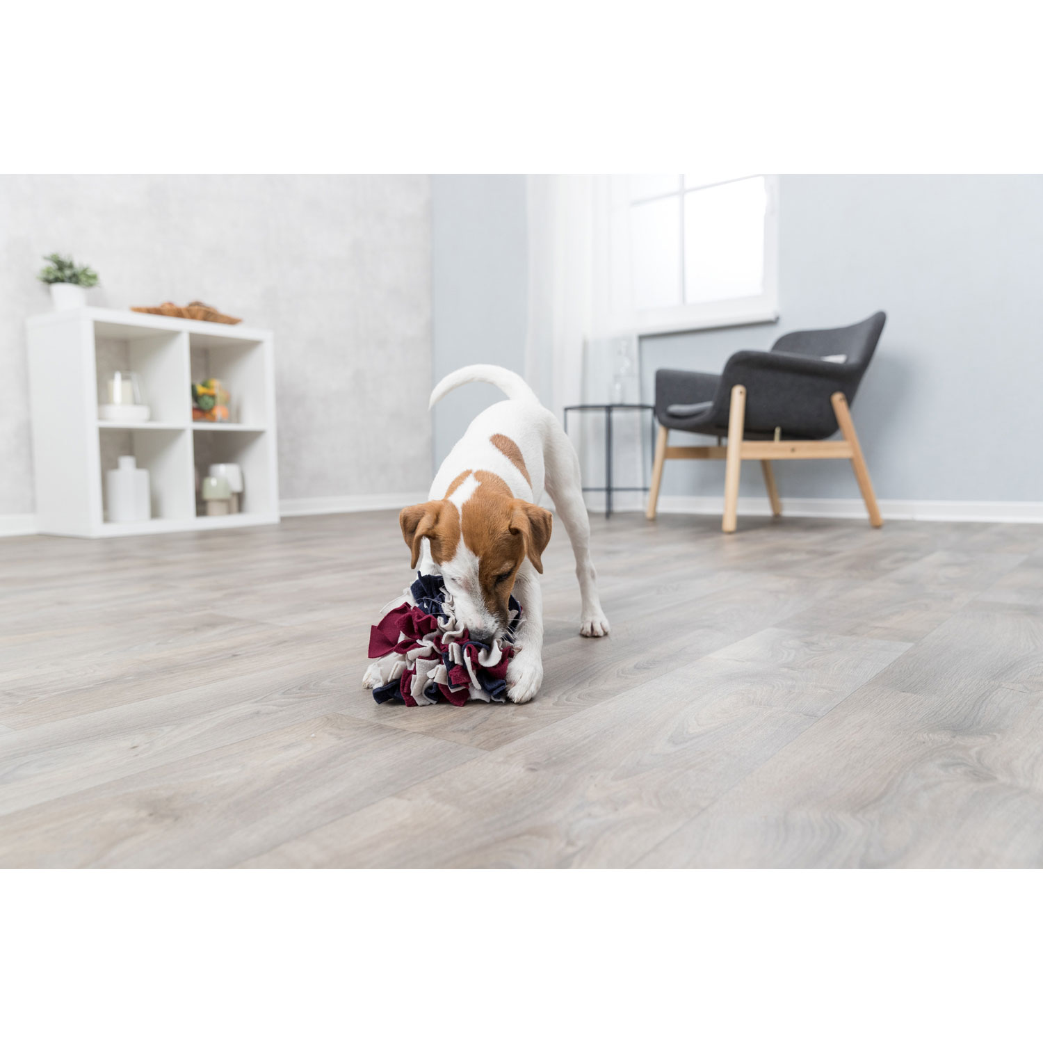 Imagen 6 de Juguete interactivo Trixie para perros pelota para olfatear