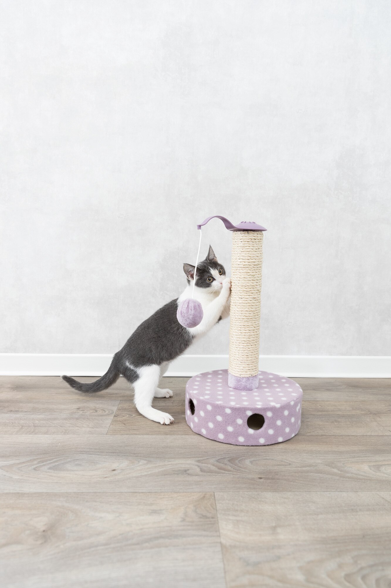 Rascador Junior Trixie para gatos forro 6