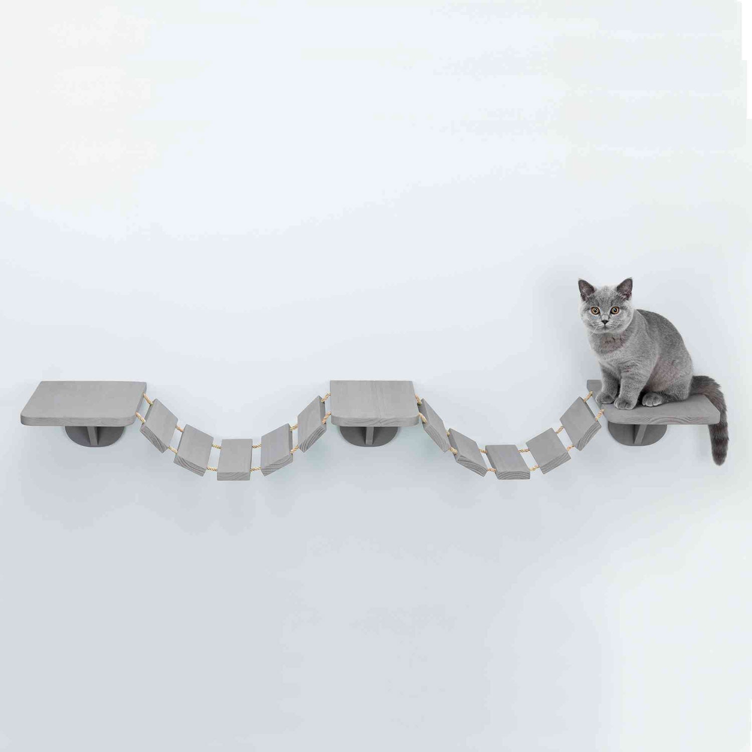Juguete Trixie para gatos escalera 2
