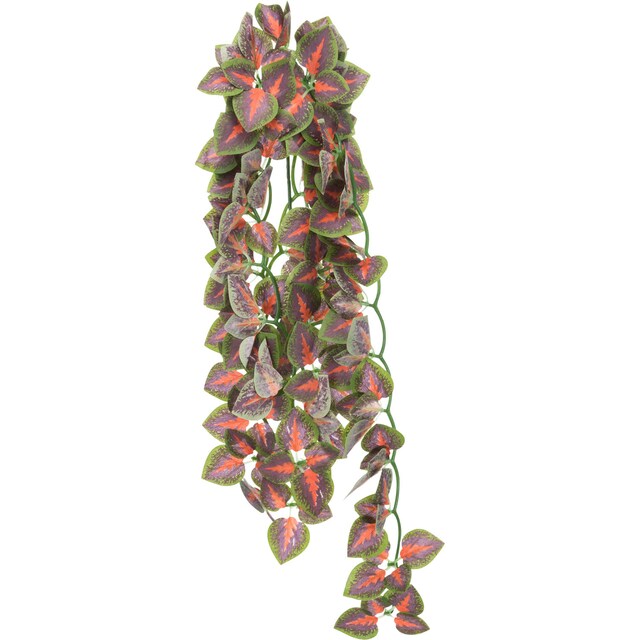 Imagen 0 de Planta colgante seda Trixie Folium Perillae para terrario reptiles