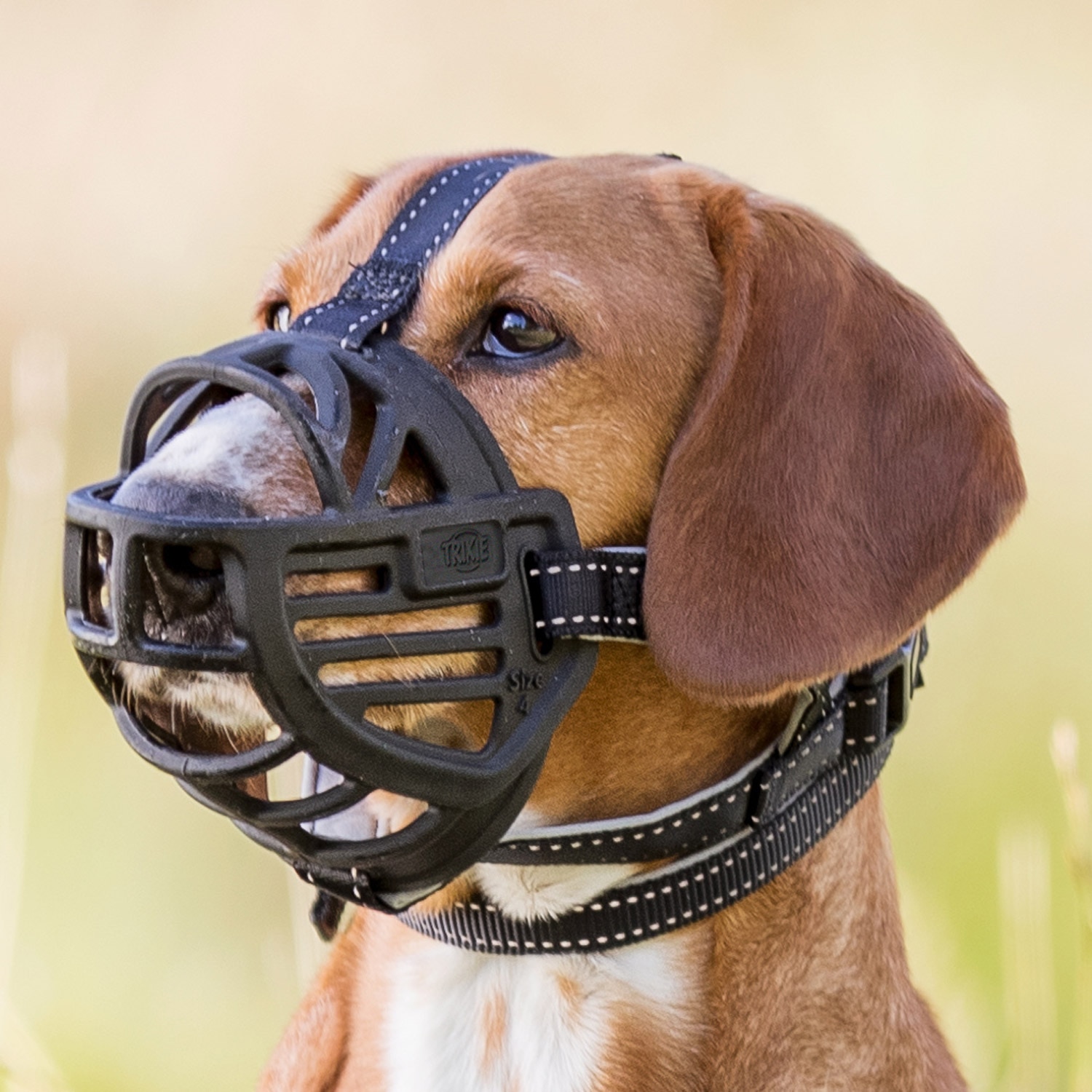 Imagen 0 de Bozal Trixie para perros Flex Silicona