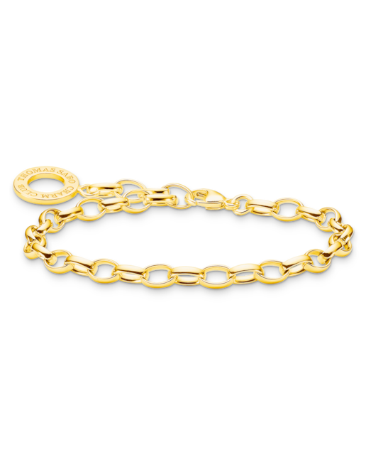 Imagen 0 de Pulsera de plata charm clásica chapado en oro