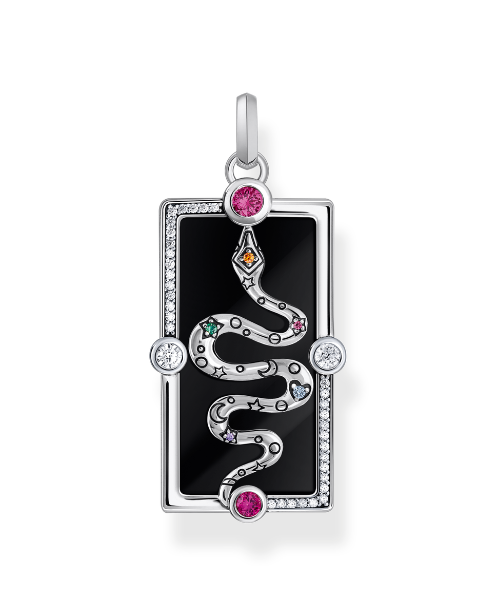 Imagen 0 de Colgante de serpiente con esmalte en frío negro plata Multicolor