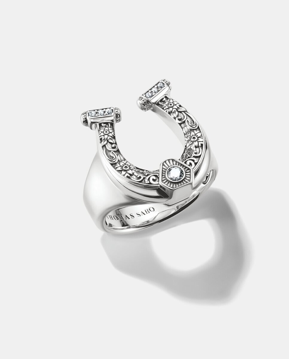 Imagen 1 de Anillo herradura elyndra plata ennegrecida Plata