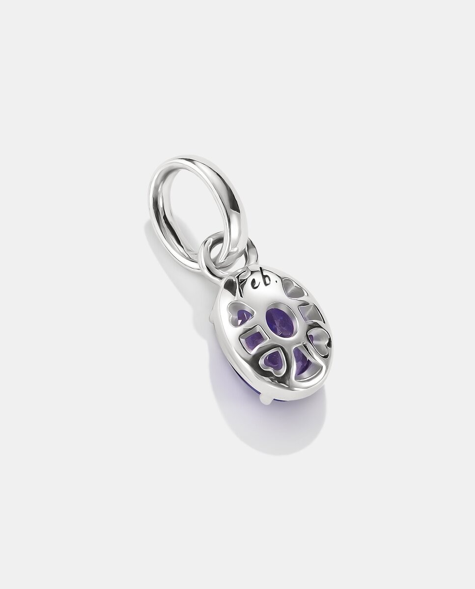 Símbolo charm piedra de nacimiento febrero connect de plata - Thomas Sabo - Violeta Violeta-2