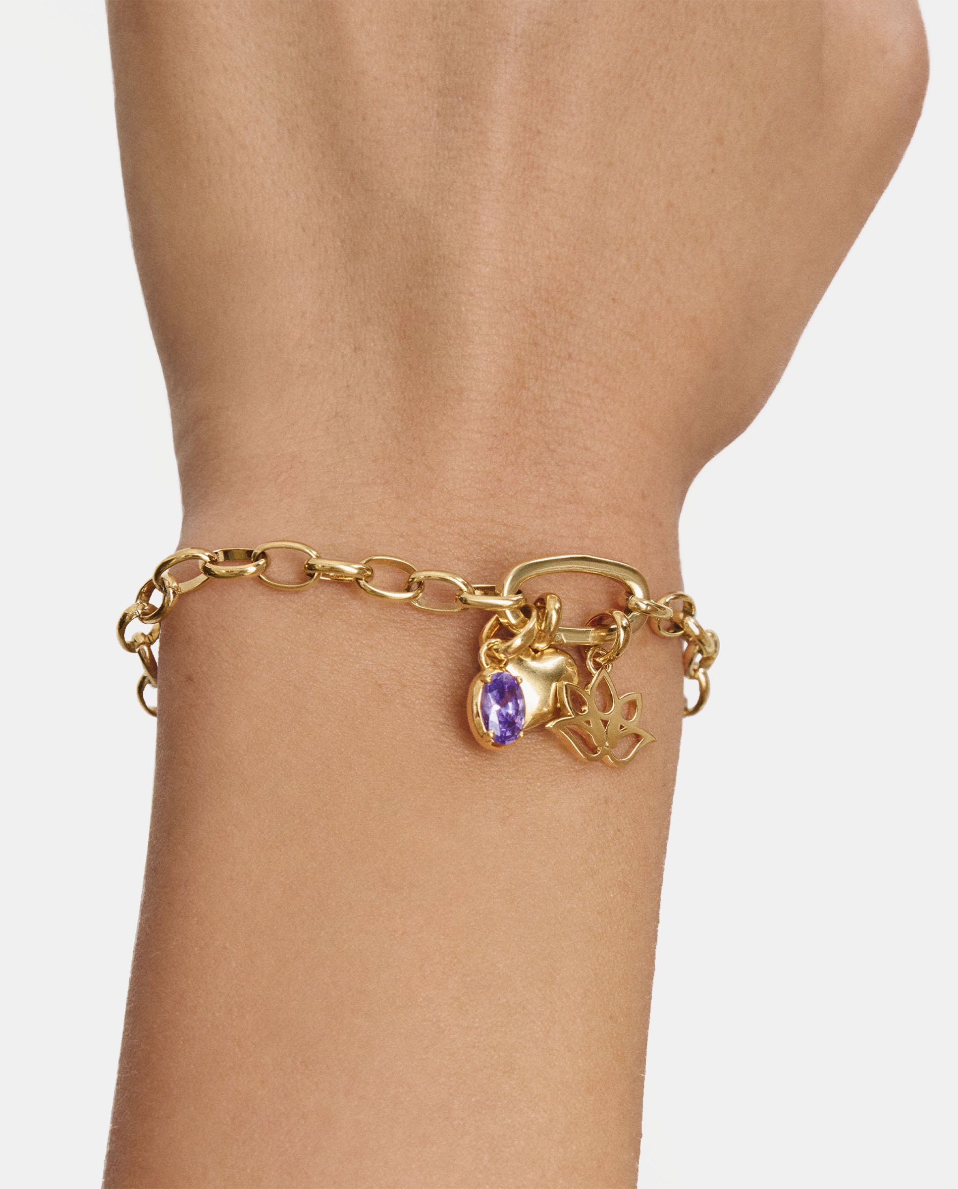 Pulsera para charms - Thomas Sabo - Dorado Dorado-4