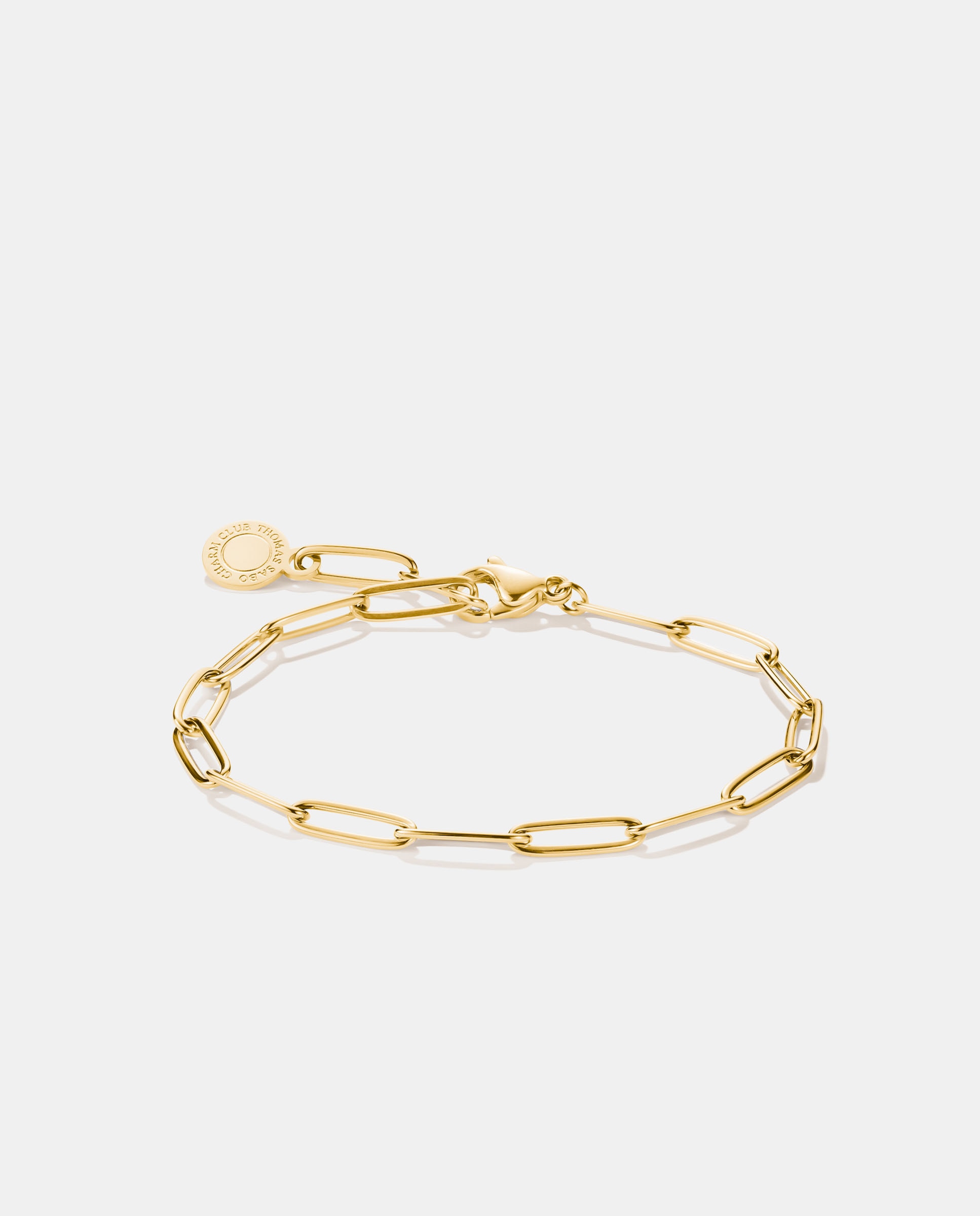 Imagen 0 de Pulsera para charms paperclip Dorado